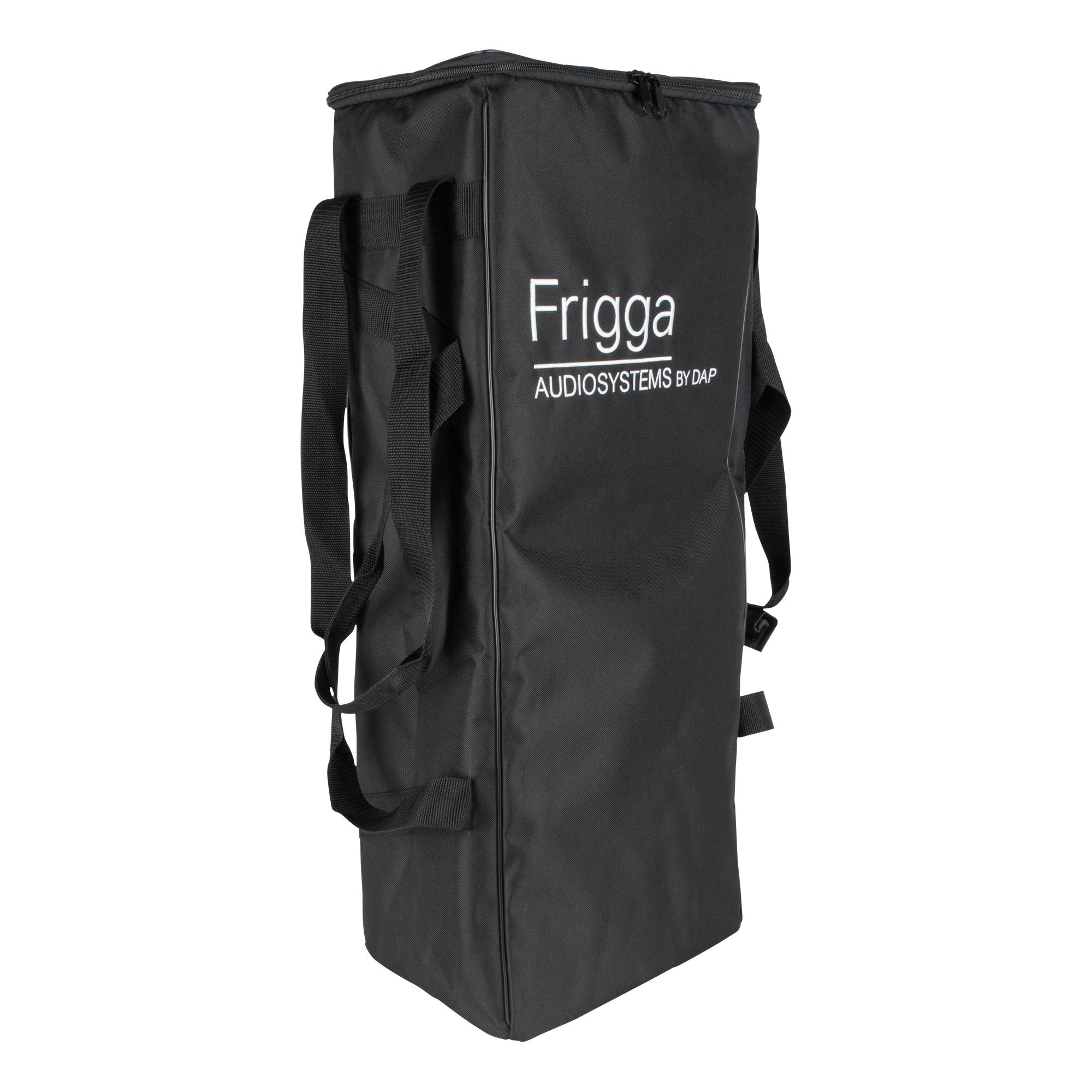 Eine schwarze rechteckige Lautsprechertasche mit Griffen, beschriftet mit 'Frigga Audio Systems by Dyn.
