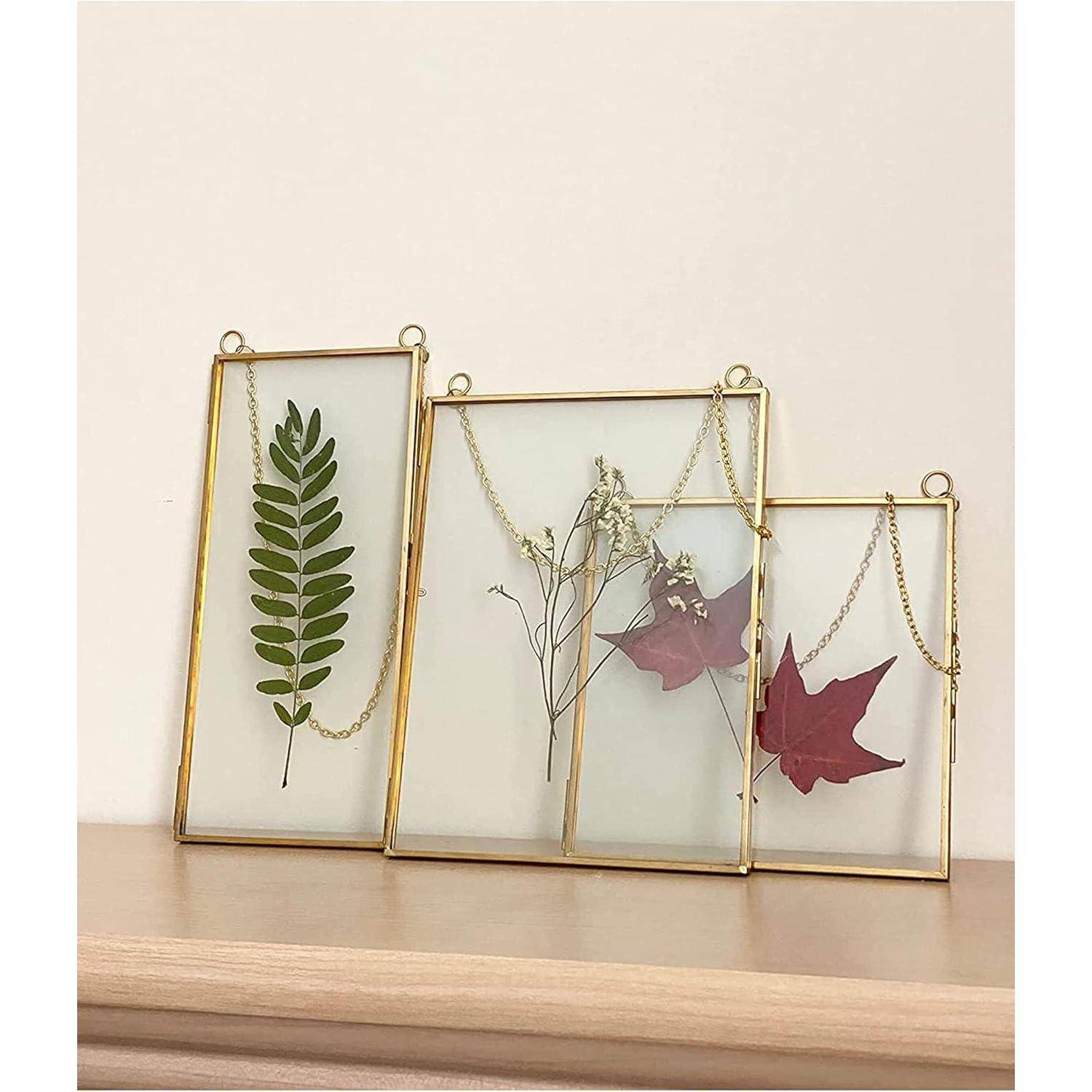 Drei rechteckige Rahmen mit goldenen Kanten enthalten getrocknete Pflanzenblätter und Blumen, die auf einer Holzoberfläche vor einer schlichten Wand ausgestellt sind.