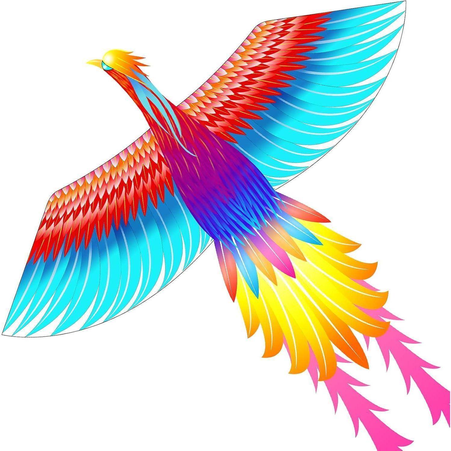 Ein bunter Phönix mit lebhaft roten, blauen und gelben Federn breitet seine Flügel im Flug aus.