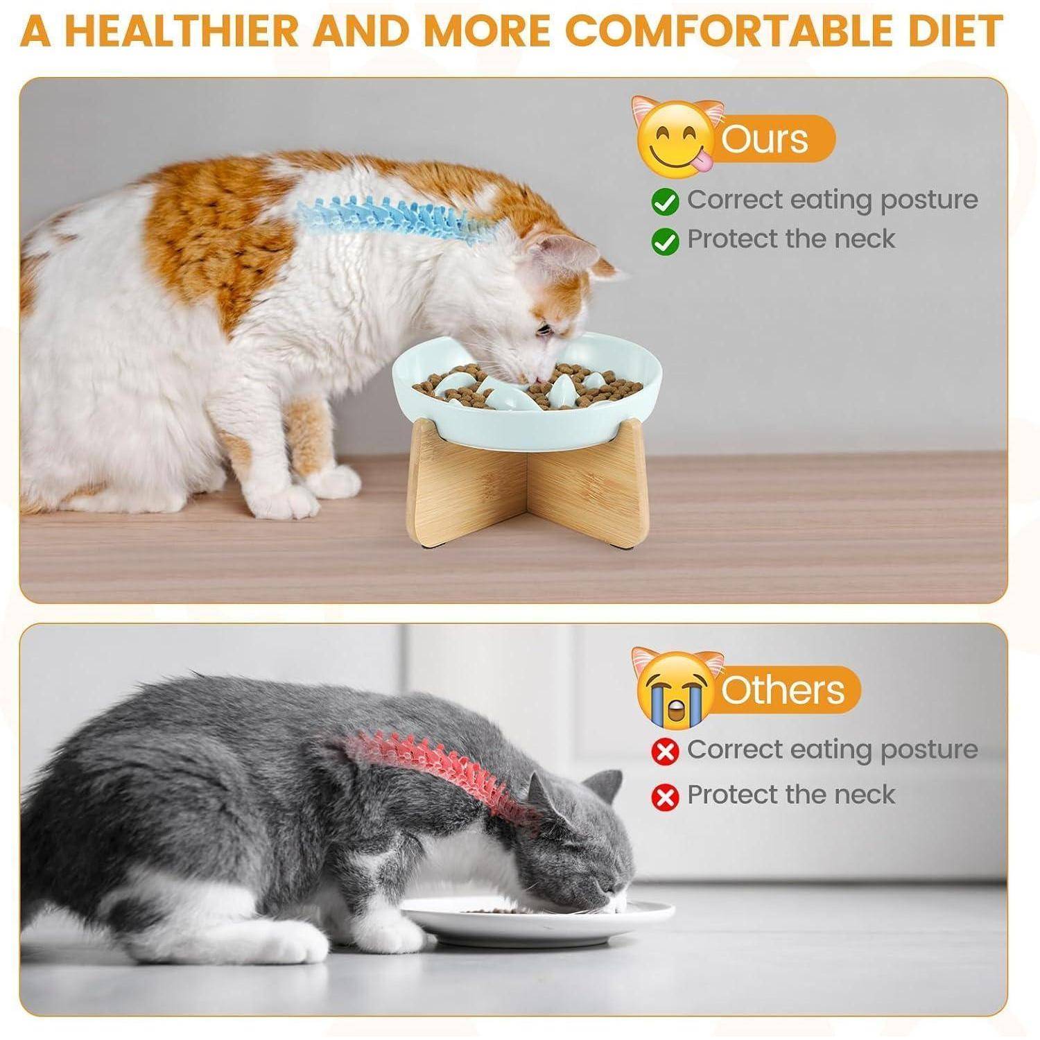 Vergleich zweier Katzen beim Essen: Obere Katze verwendet eine erhöhte Schüssel mit korrekter Haltung, untere Katze verwendet eine niedrige Schüssel mit schlechter Haltung.