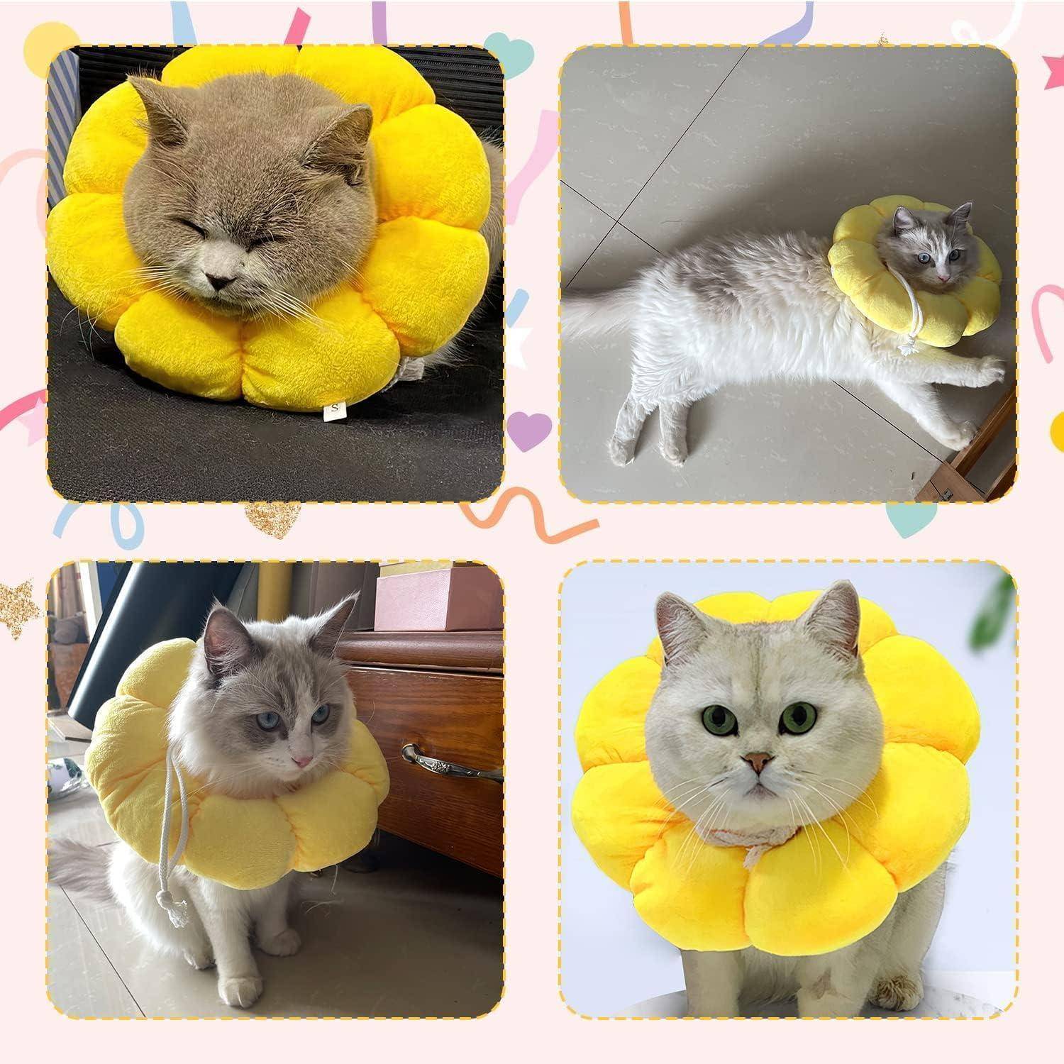 Halskrause Sonnenblume Einstellbarer für Katzen Hunde nach OP