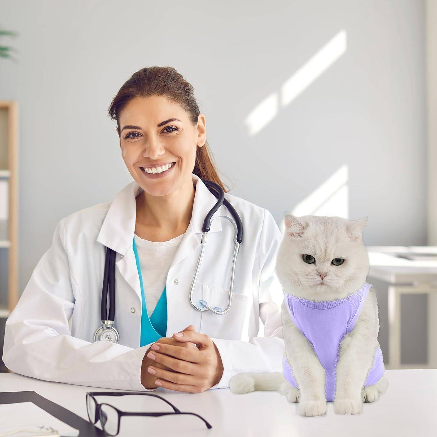 Ein lächelnder Tierarzt, der einen weißen Kittel trägt, sitzt an einem Schreibtisch neben einer weißen Katze, die einen lila Pullover trägt, während Sonnenlicht hereinströmt.