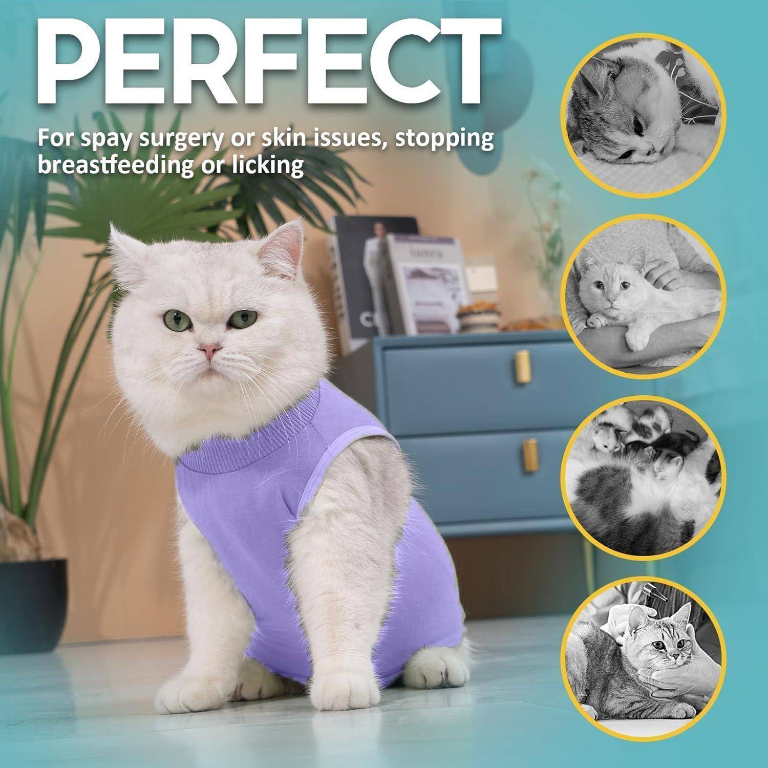 PERFEKT für Sterilisationsoperationen oder Hautkrankheiten, zum Abstillen oder um Belecken zu verhindern.' Hauptbild: Katze in Genesungsanzug; kleinere Bilder zeigen verschiedene Anwendungen.