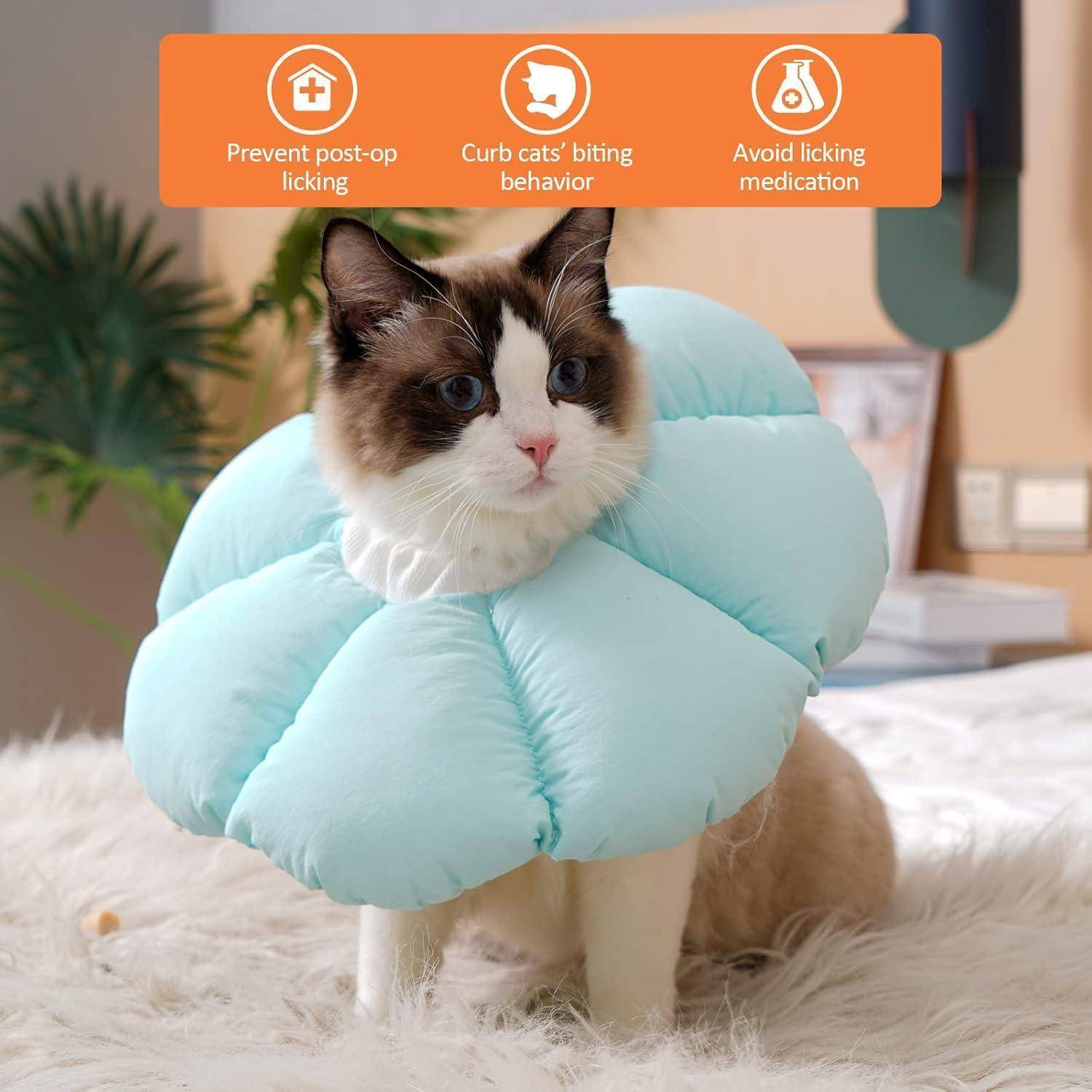Halskrause Katze Einstellbar Weich Leckschutz Kragen Klein Hund Blau