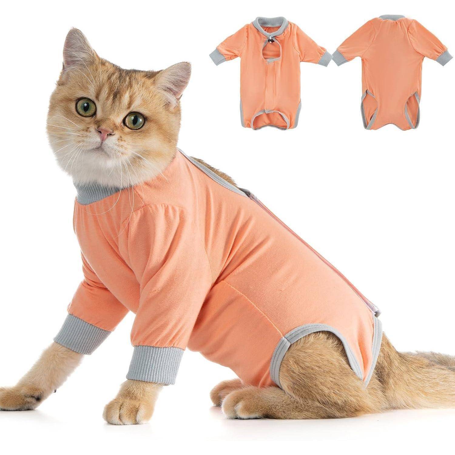 Katzenbody OP Erholungsanzug Modal Kastration Leckschutz Suit S-Coral