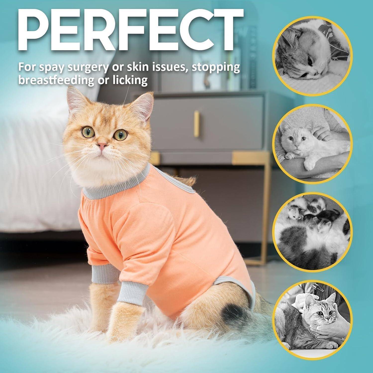Katzenbody OP Erholungsanzug Modal Kastration Leckschutz Suit S-Coral