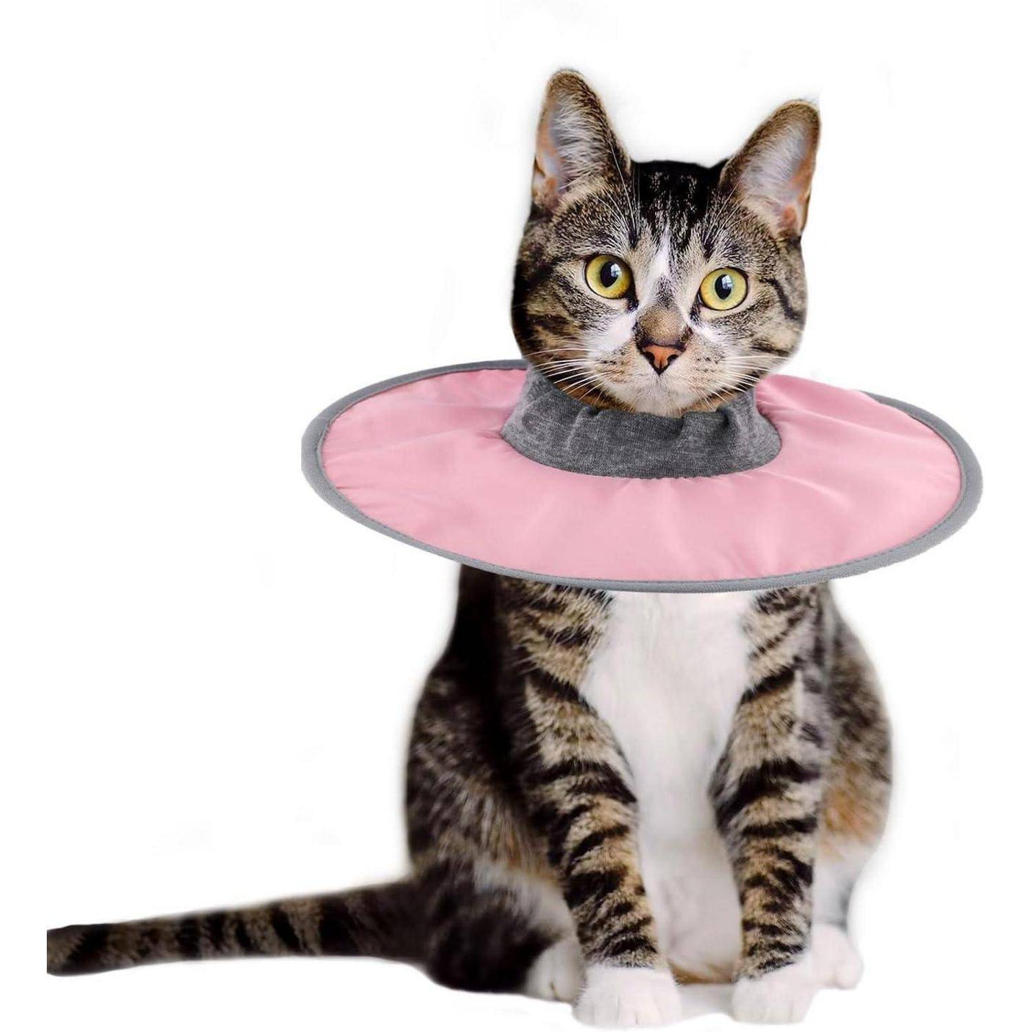 Katzen Genesungshalsband Verstellbar Wasserdicht Rosa Welpen Halsband