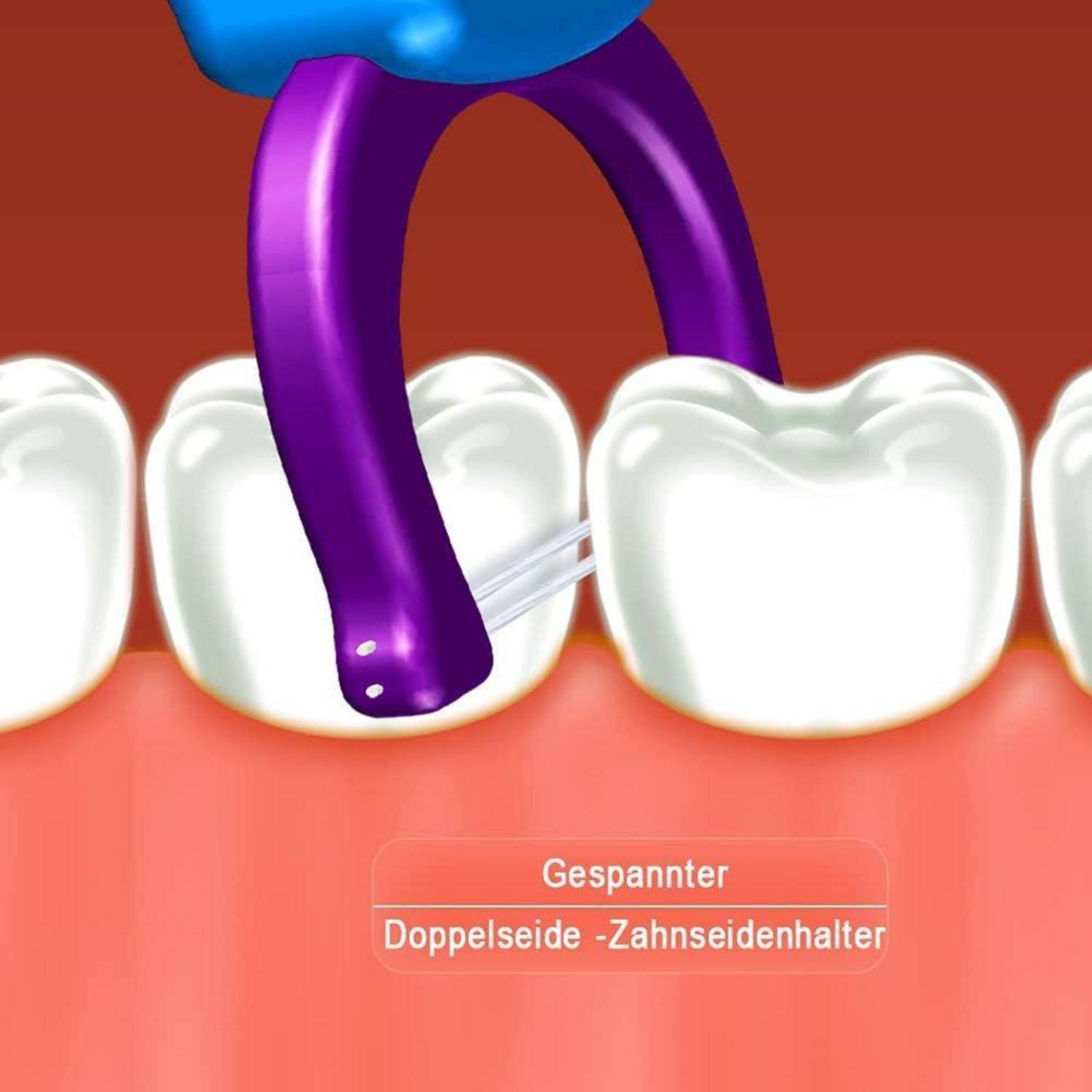 3D-Rendering eines Zahnseidehalters, der zeigt, wie man Zähne flosst. Blauer Halter mit Zahnseide zwischen zwei Zähnen. Text: Doppelseide-Zahnseidenhalter.