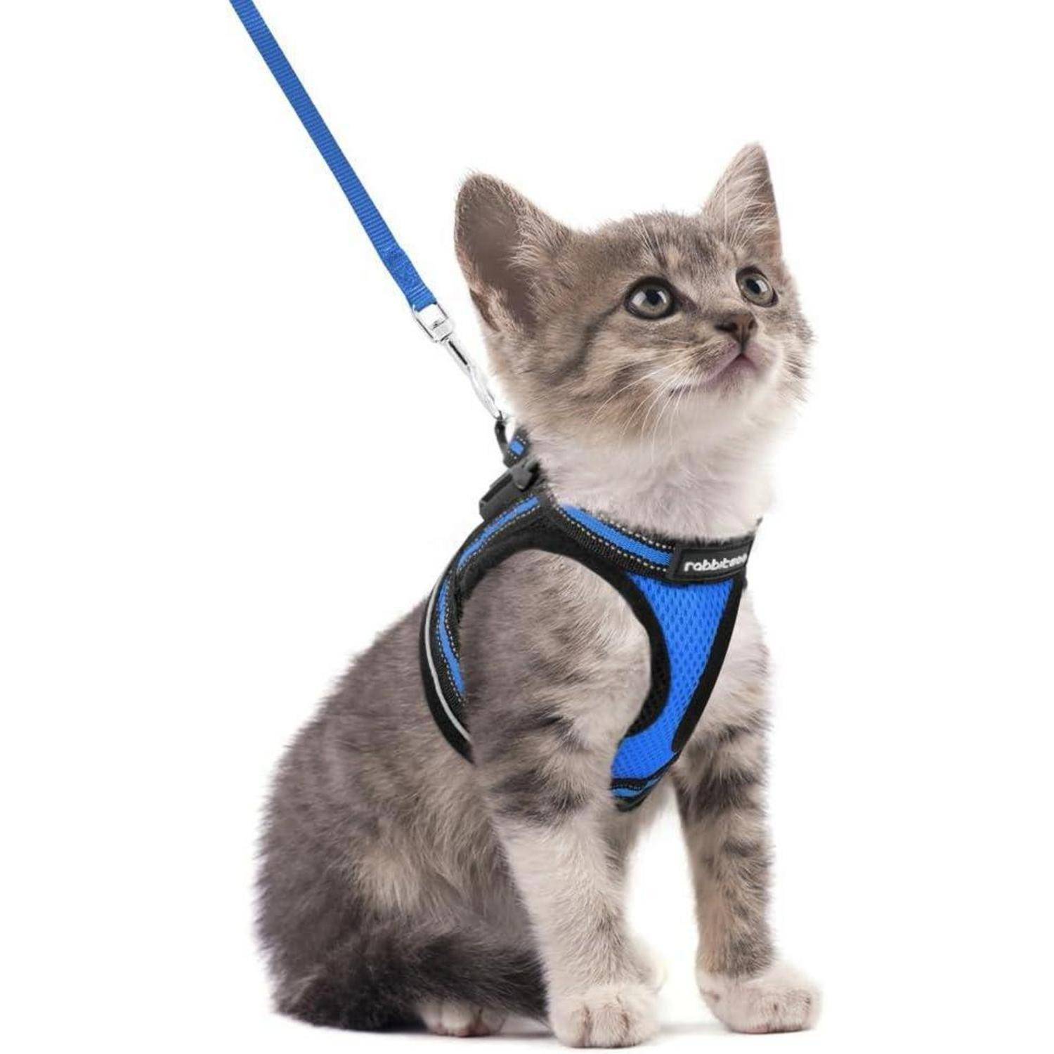 Katzengeschirr Set ausbruchsicher verstellbar S (1er Pack) Blau