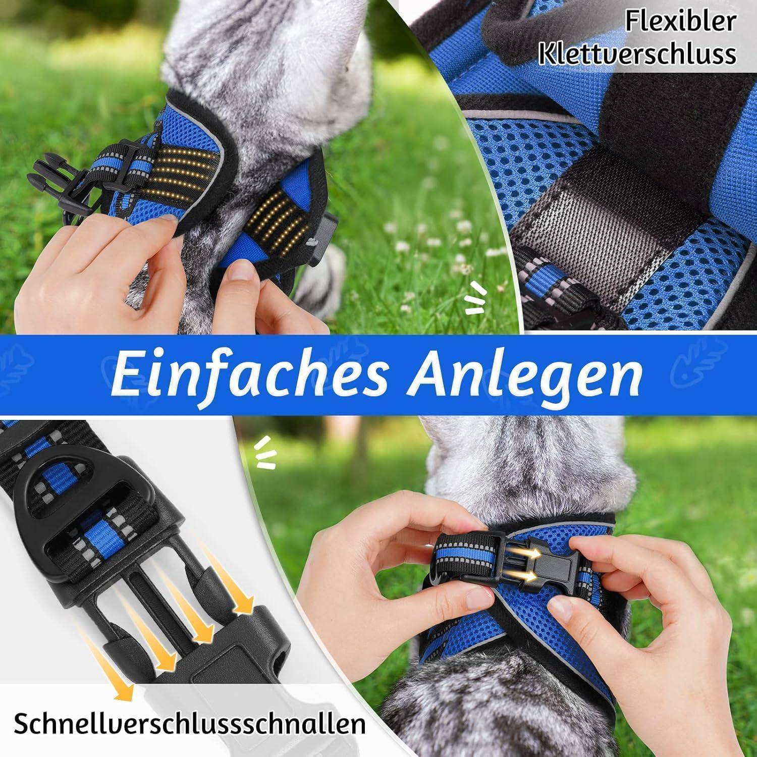 Katzengeschirr Set ausbruchsicher verstellbar S (1er Pack) Blau