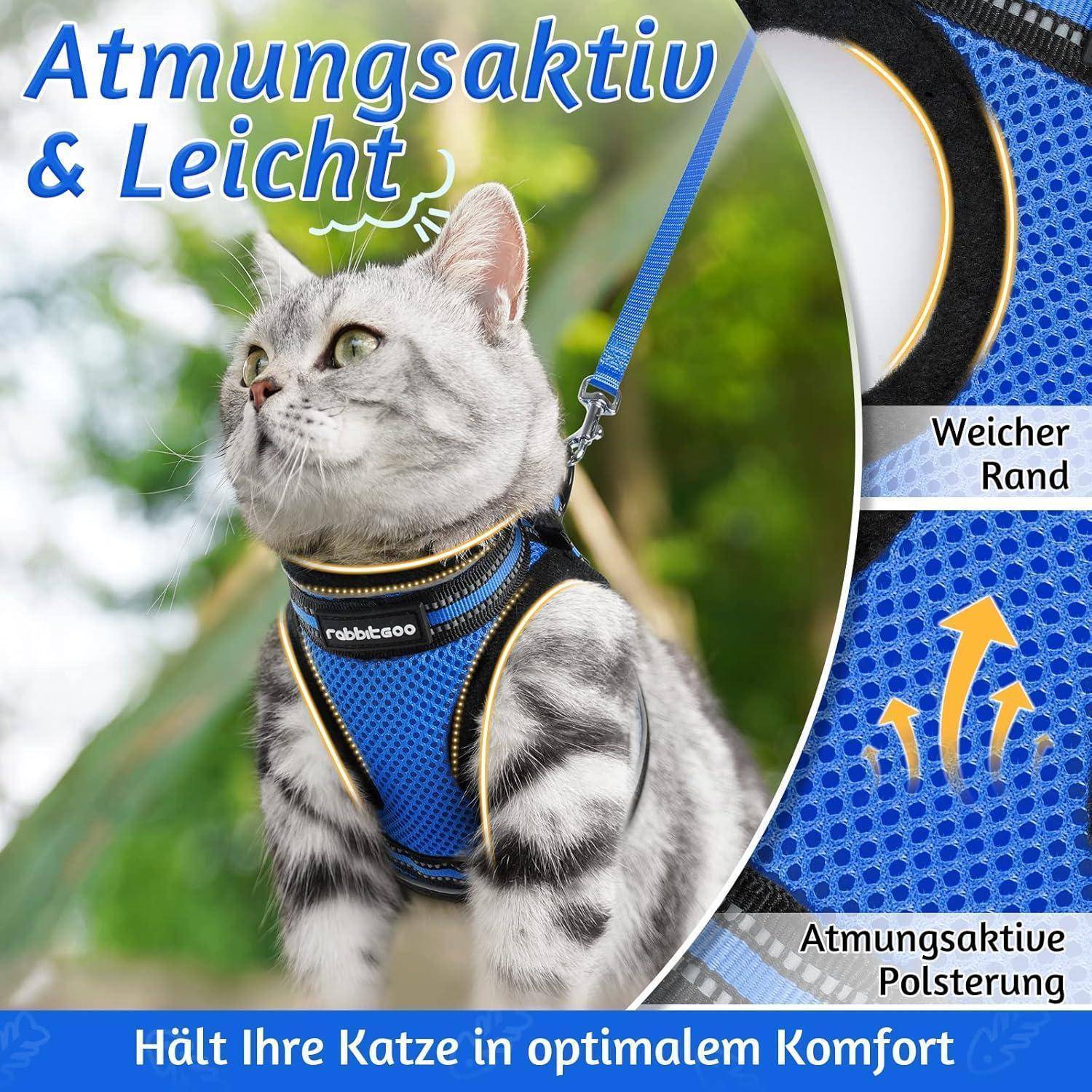 Katzengeschirr Set ausbruchsicher verstellbar S (1er Pack) Blau