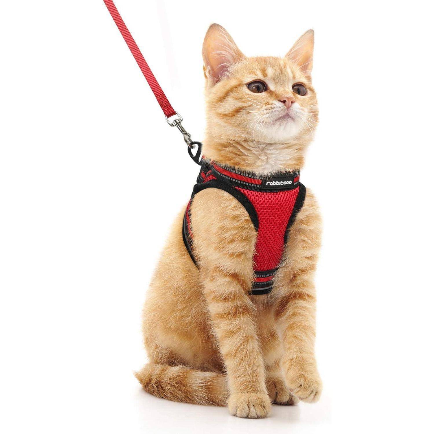 Katzengeschirr Katzenleine Set Kitten Welpen M (1er Pack) Rot