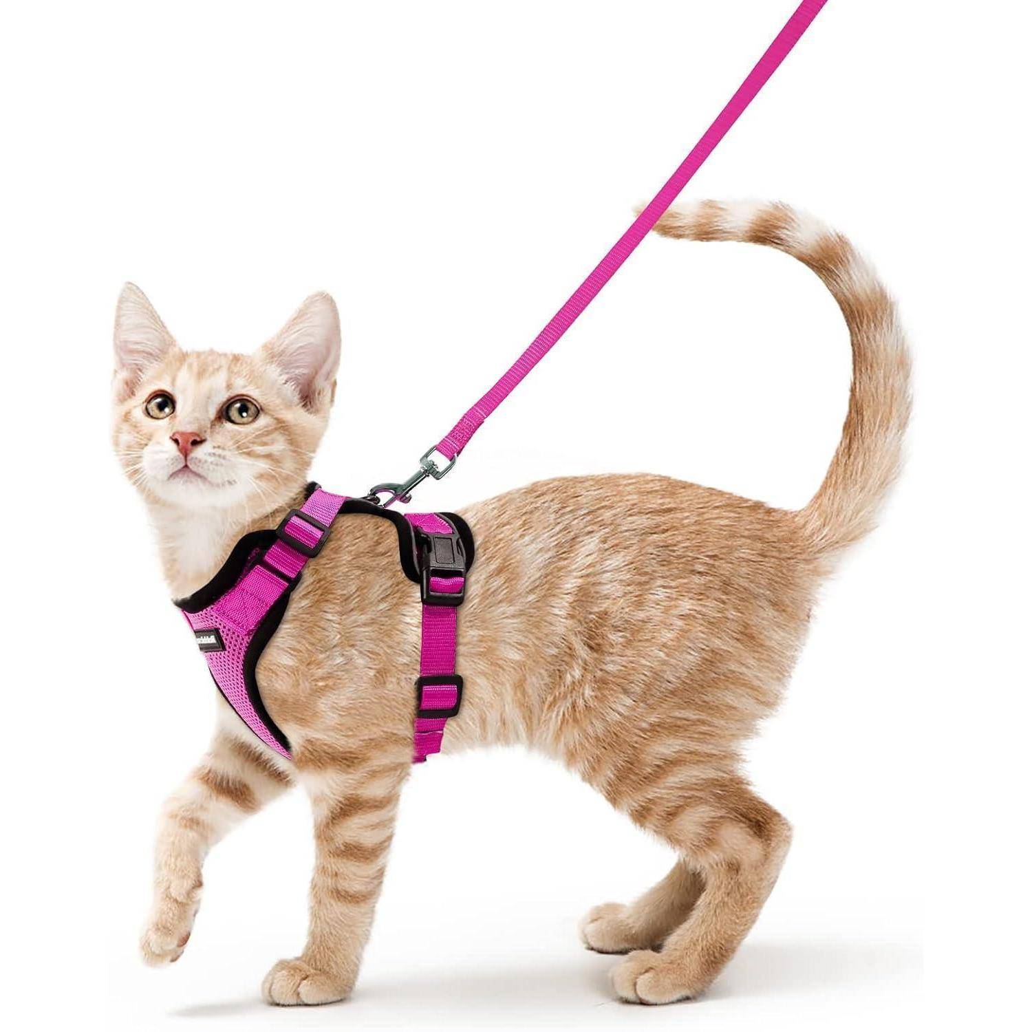 Katzengeschirr Softgeschirr Brustgeschirr Leine S (1er Pack) Rosenrot