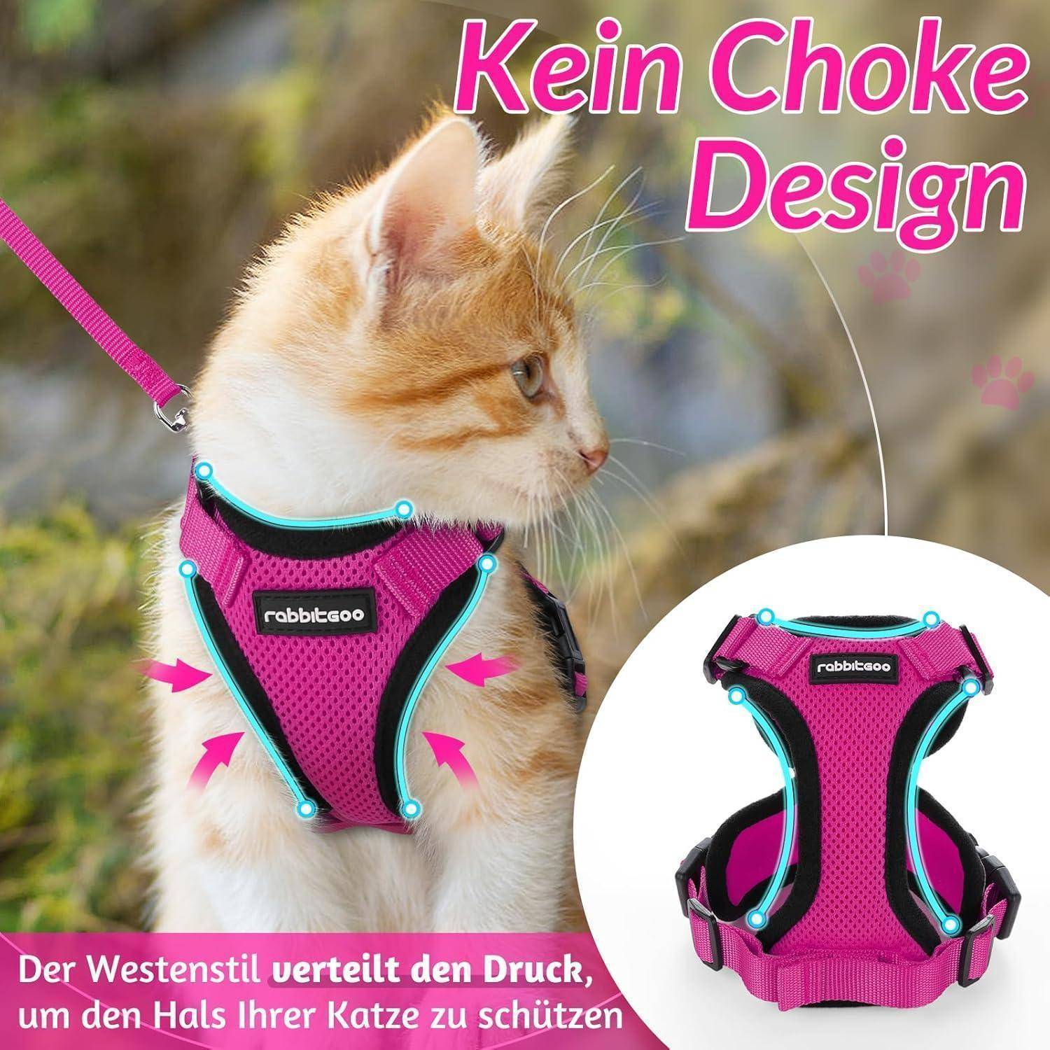 Eine Katze, die ein rosa Geschirr mit der Aufschrift 
