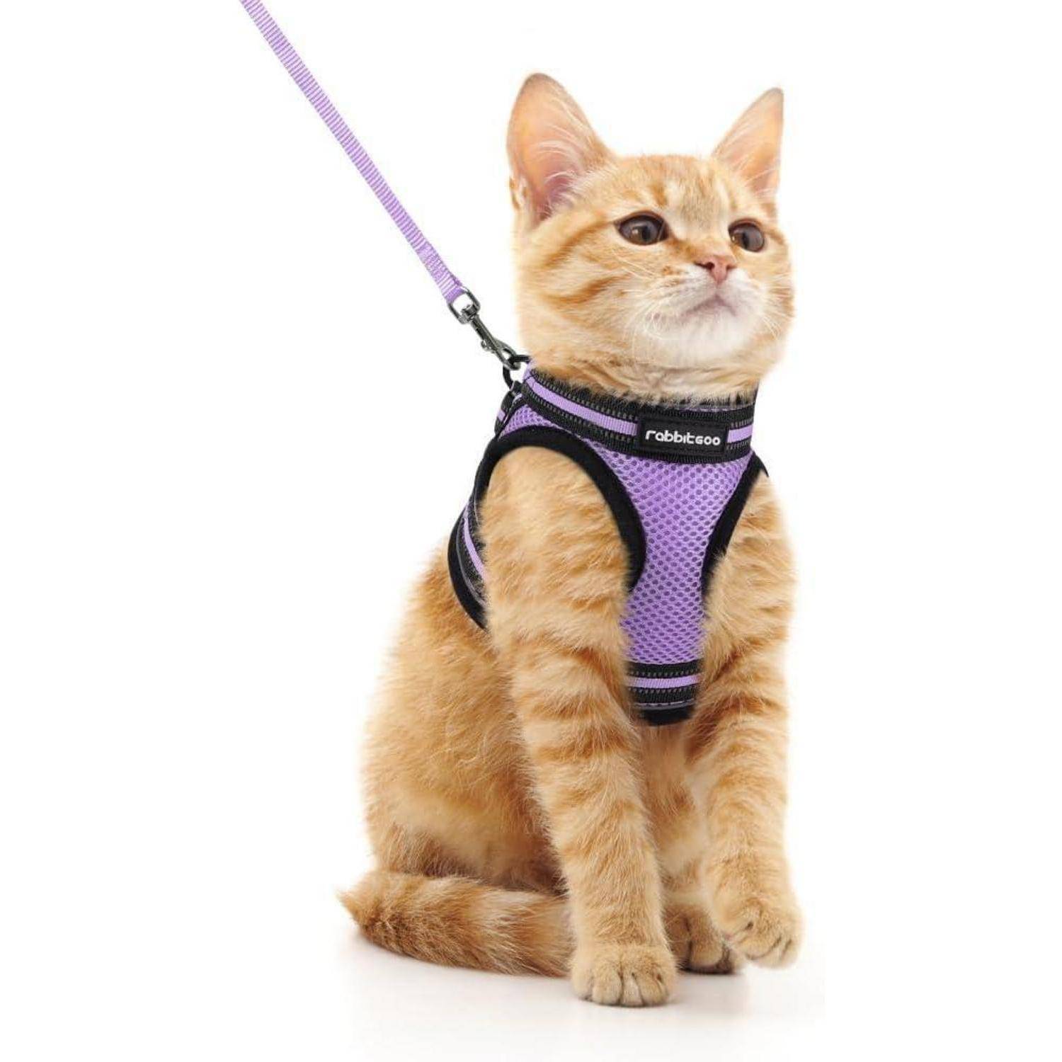 Katzengeschirr Katzenleine ausbruchsicher M 1er Pack Helles Lila
