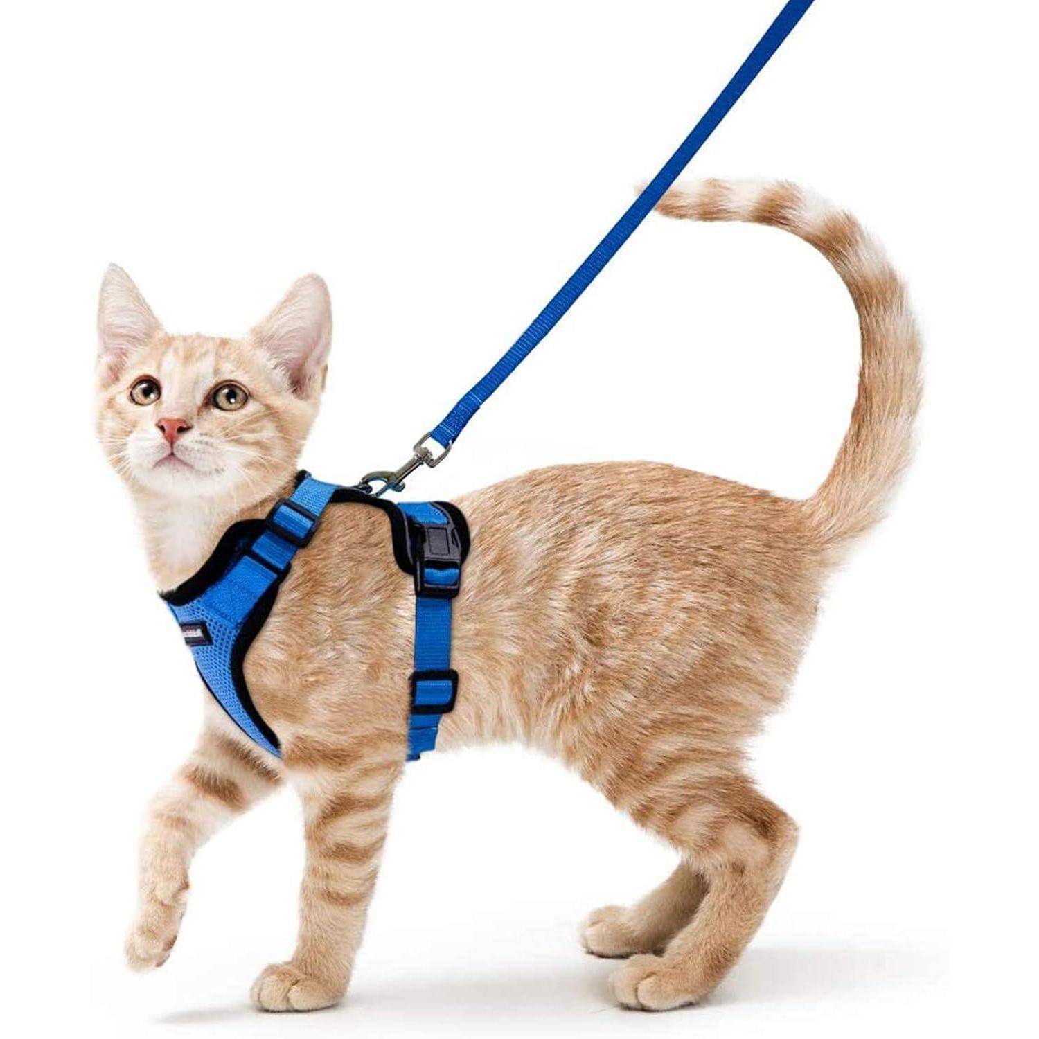 Katzengeschirr Softgeschirr Leine verstellbar S (1er Pack) Blau