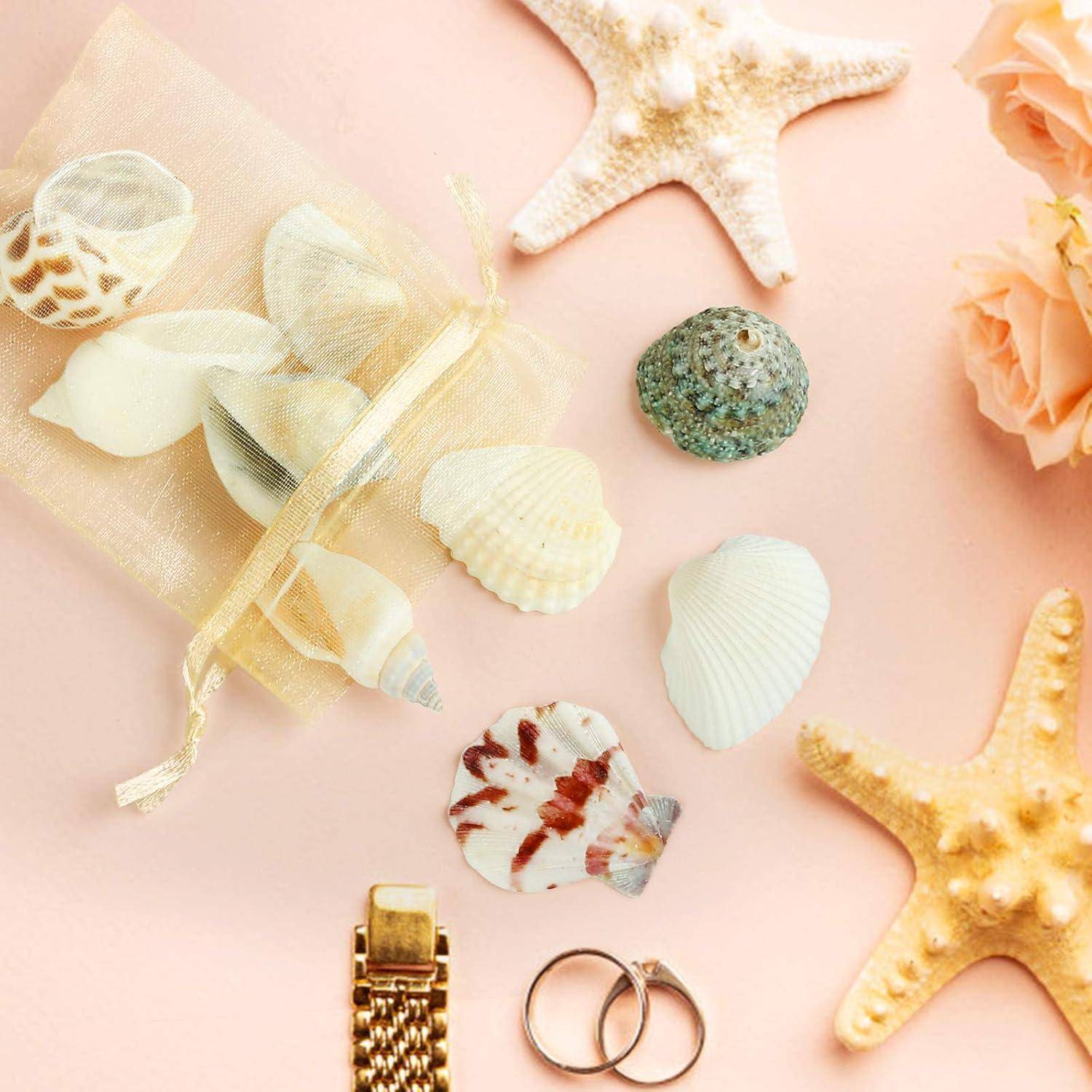 Muscheln, Seesterne, eine Uhr und zwei Ringe auf einem Pfirsichhintergrund, was ein Strand- oder Sommermotiv mit einer Spur von Eleganz andeutet.