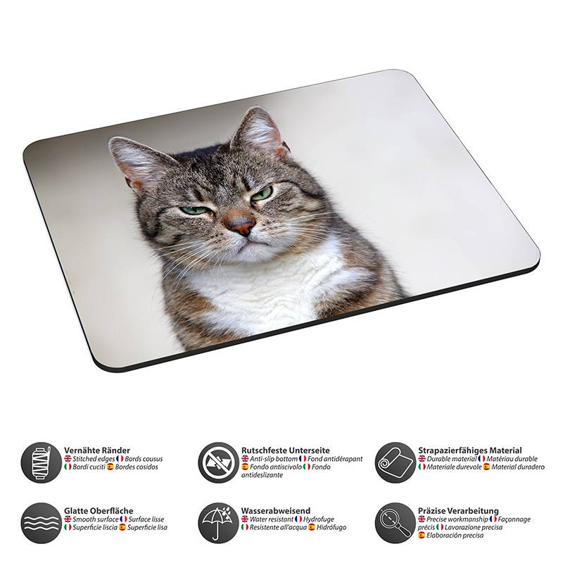 Mousepad mit einem Foto einer Tabbykatze mit grünen Augen. Darunter zeigen Symbole die Eigenschaften: abgerundete Kanten, rutschfeste Unterseite, glatte Oberfläche, wasserabweisend und robustes Material.