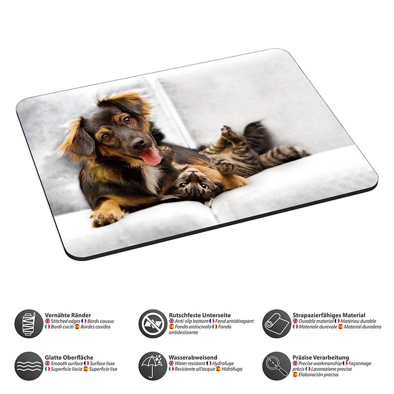 Ein Hund und eine Katze kuscheln auf einem weißen Sofa und veranschaulichen Kameradschaft. Icons unterhalb zeigen Merkmale einer Haustierdecke, wie zum Beispiel ‚Wasserabweisend' und ‚Rutschfeste Unterseite'.