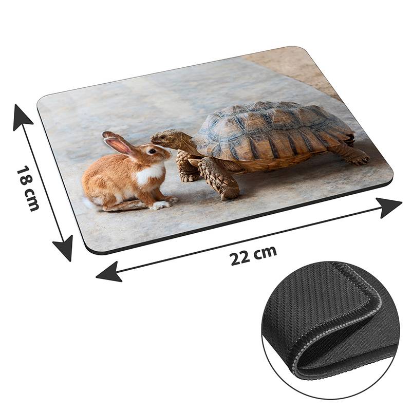 Ein Mousepad mit einem Foto eines Kaninchens, das eine Schildkröte liebevoll anschmiegt. Pfeile zeigen die Abmessungen an: 18 cm hoch und 22 cm breit. Nahaufnahme des Gewebetandes.