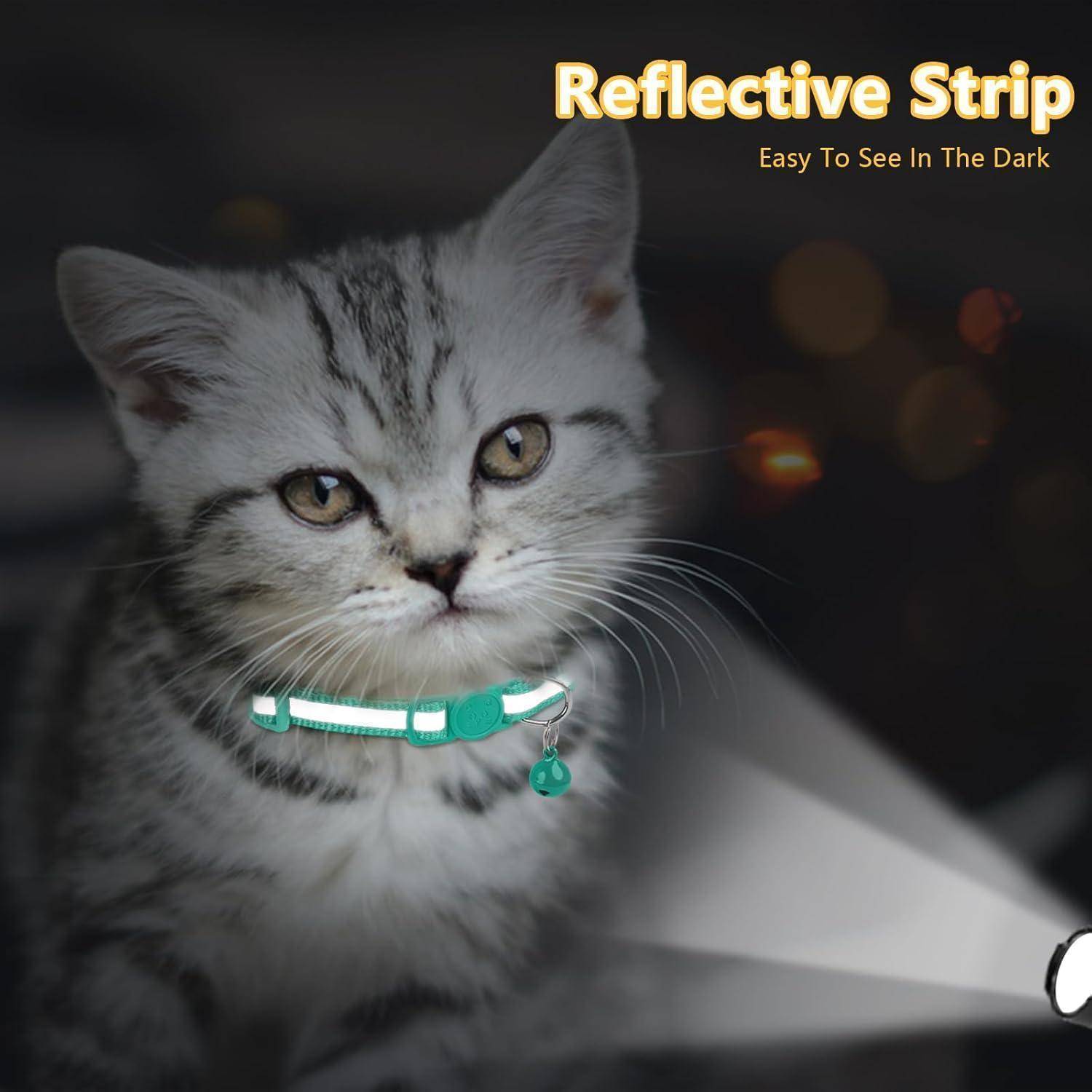 Eine graue Tabbykatze trägt ein Halsband mit einem reflektierenden Streifen, der Text lautet: „Reflektierender Streifen - Leicht zu sehen in der Dunkelheit