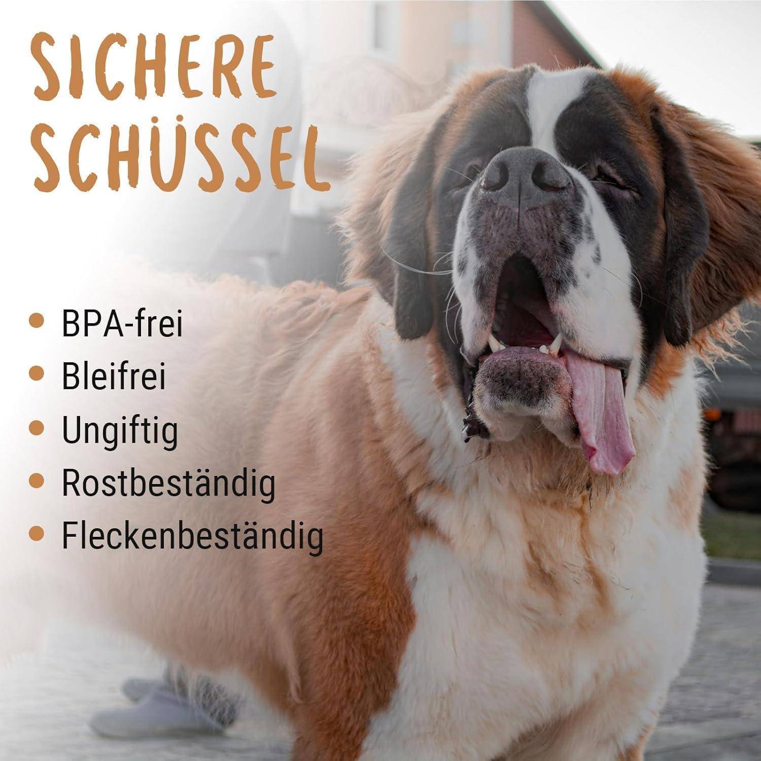 Ein großer Hund mit Fokus auf sein Gesicht erscheint neben einem Text mit Merkmalen einer Futternäpfe: „BPA-frei, bleifrei, nicht giftig, rostbeständig, fleckenunempfindlich