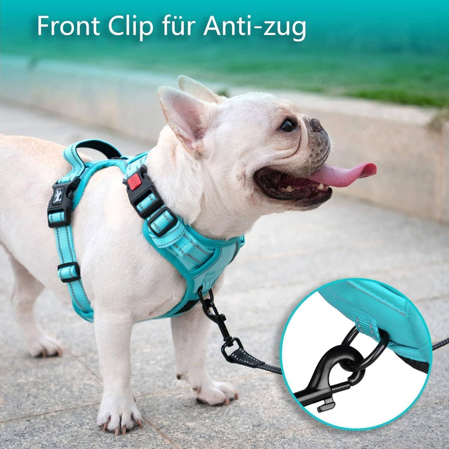 Hundegeschirr Reflektierend Verstellbar XS Mint Blau Passender Trimmen