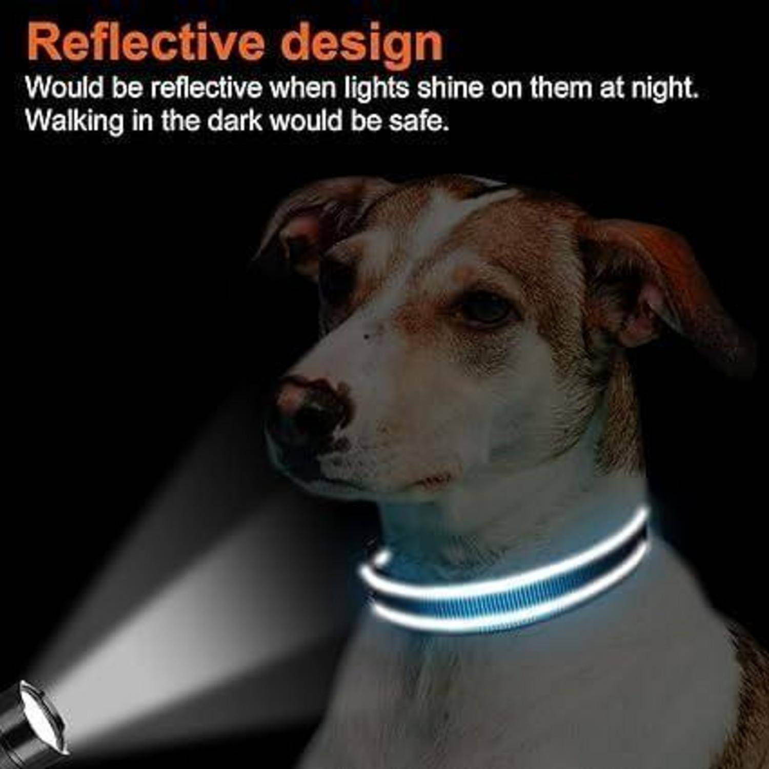 Ein Hund, der ein leuchtendes Halsband trägt, mit dem Text 