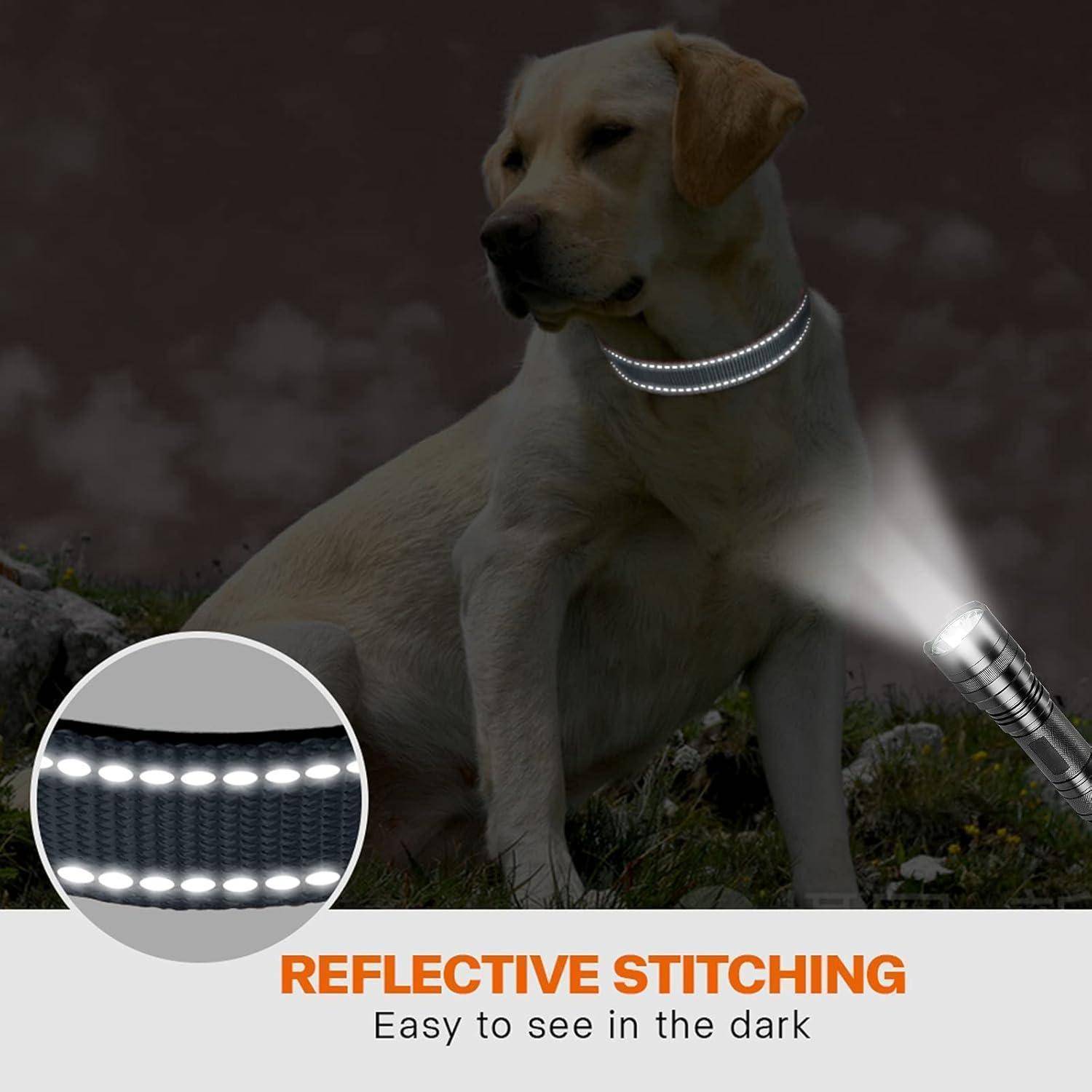 Hundehalsband Neopren gepolstert reflektierend XL (45-70cm) Grau