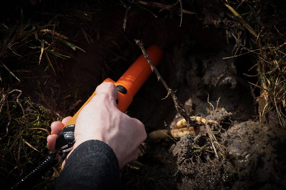 Quest XPointer Pinpointer