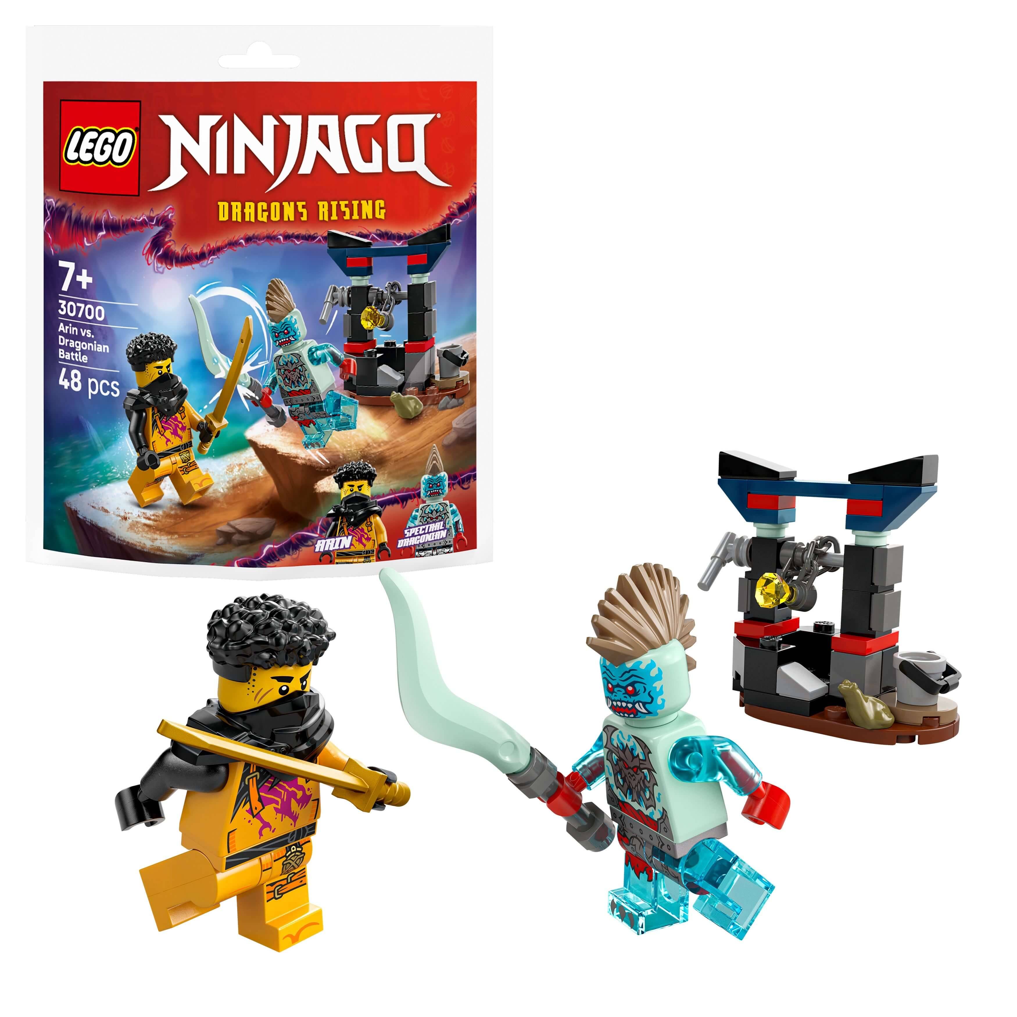 LEGO 30700 Ninjago - Arins Duell mit dem Drachenmenschen (Recruitment Bag)