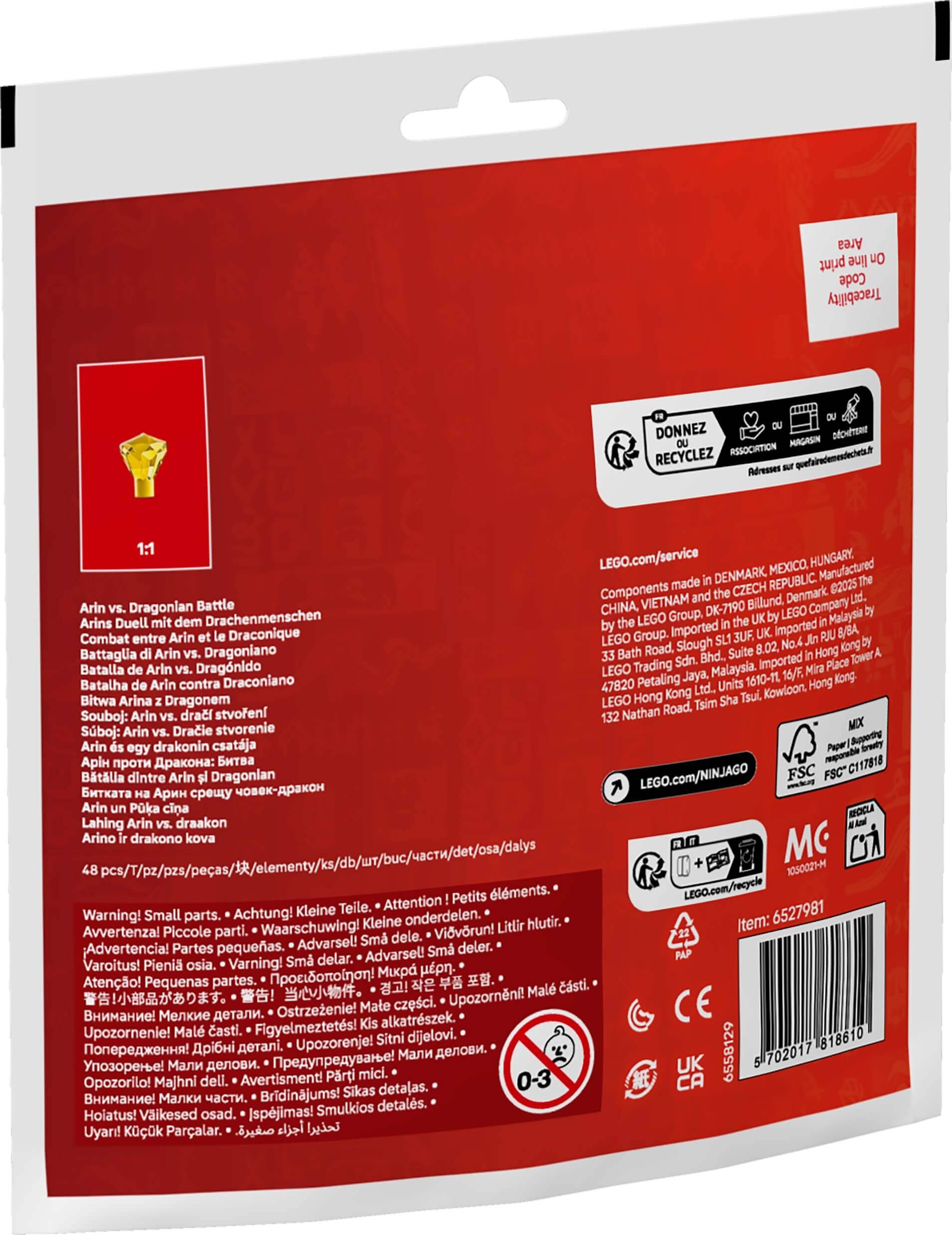 LEGO 30700 Ninjago - Arins Duell mit dem Drachenmenschen (Recruitment Bag)