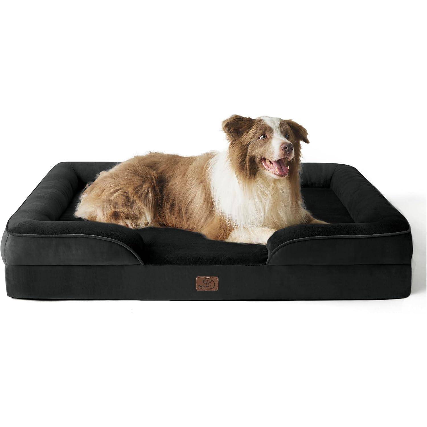 Ein brauner und weißer Hund ruht sich bequem auf einem großen, schwarzen Plüsch-Hundebett mit erhöhten Kanten aus und blickt nach vorn.