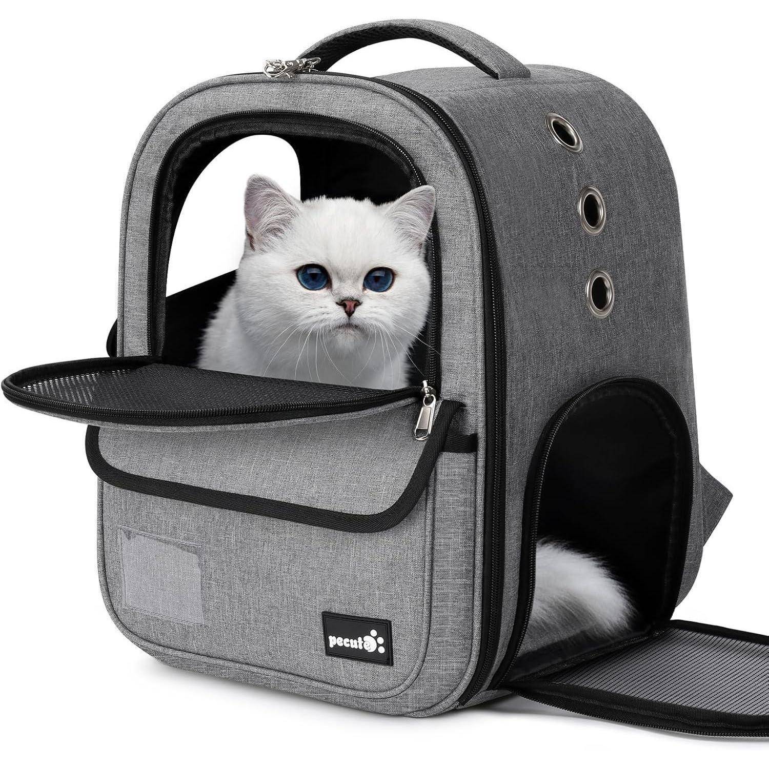 Eine weiße Katze sitzt in einem grauen Haustier-Transportrucksack mit mehreren Belüftungslöchern und einem Frontfenster. Die blauen Augen der Katze sind sichtbar.