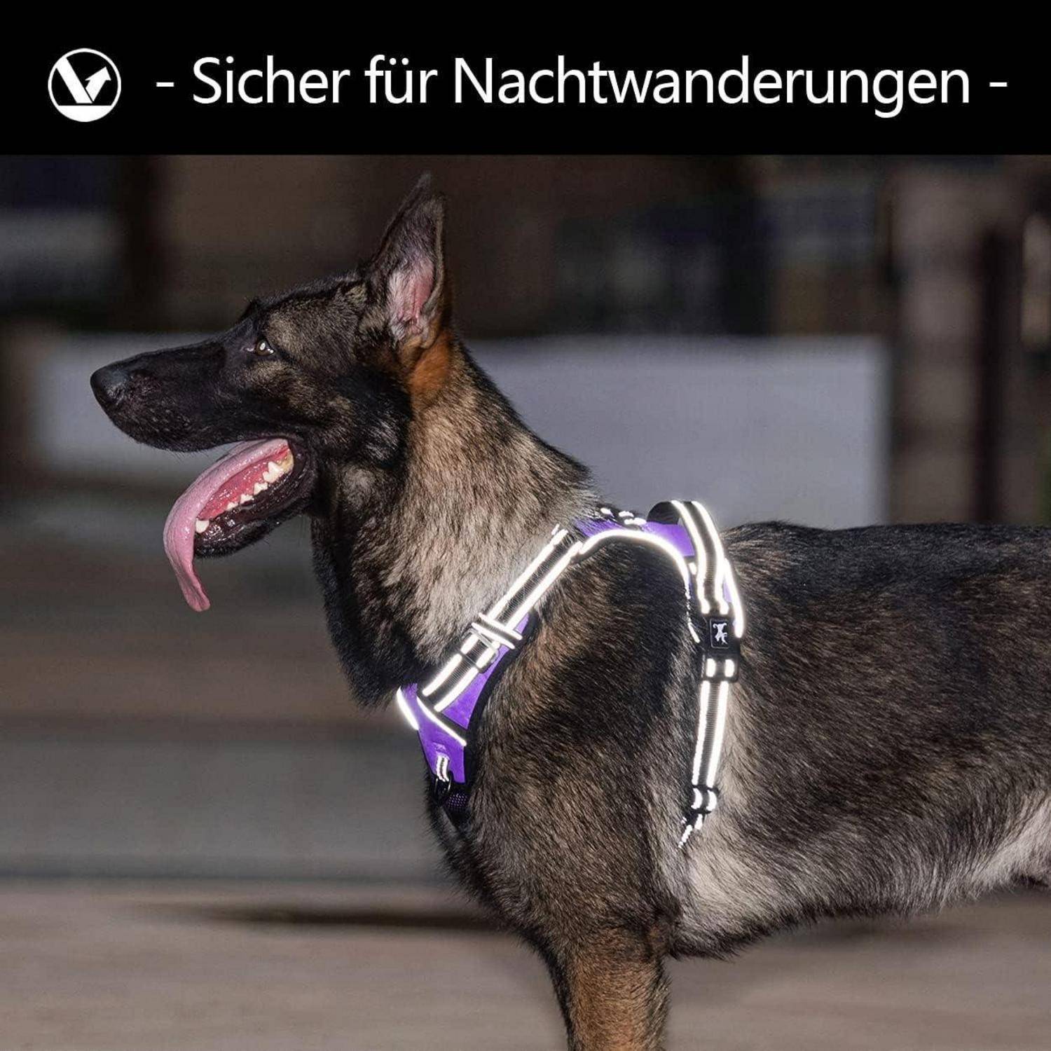 Ein Deutscher Schäferhund mit einem lila reflektierenden Geschirr ist zu sehen; der Text lautet „Sicher für Nachtwanderungen