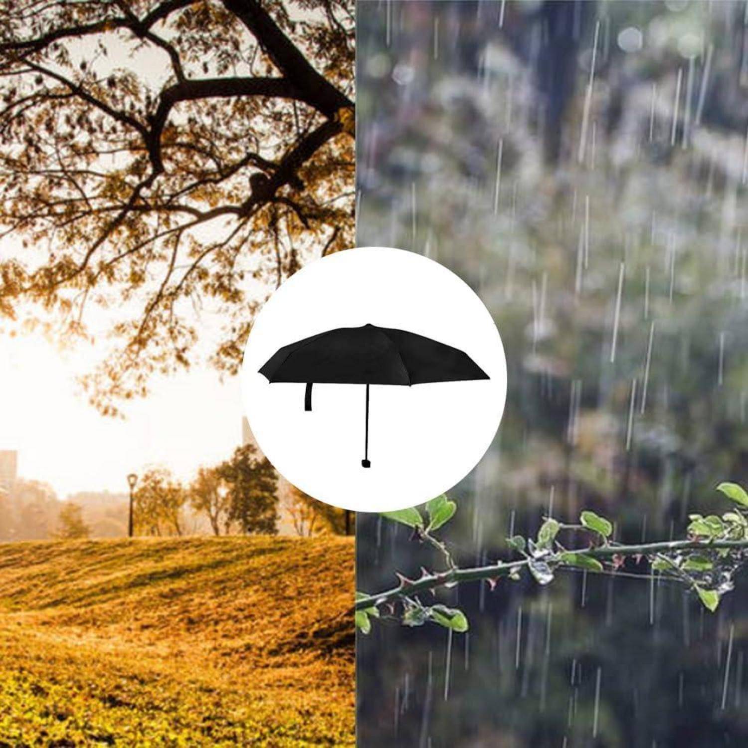 Ein Bild, geteilt in zwei Hälften: links eine sonnige, trockene Parklandschaft mit goldenen Blättern; rechts fällt Regen auf grünes Laub; eine Schirm-Ikone in der Mitte.