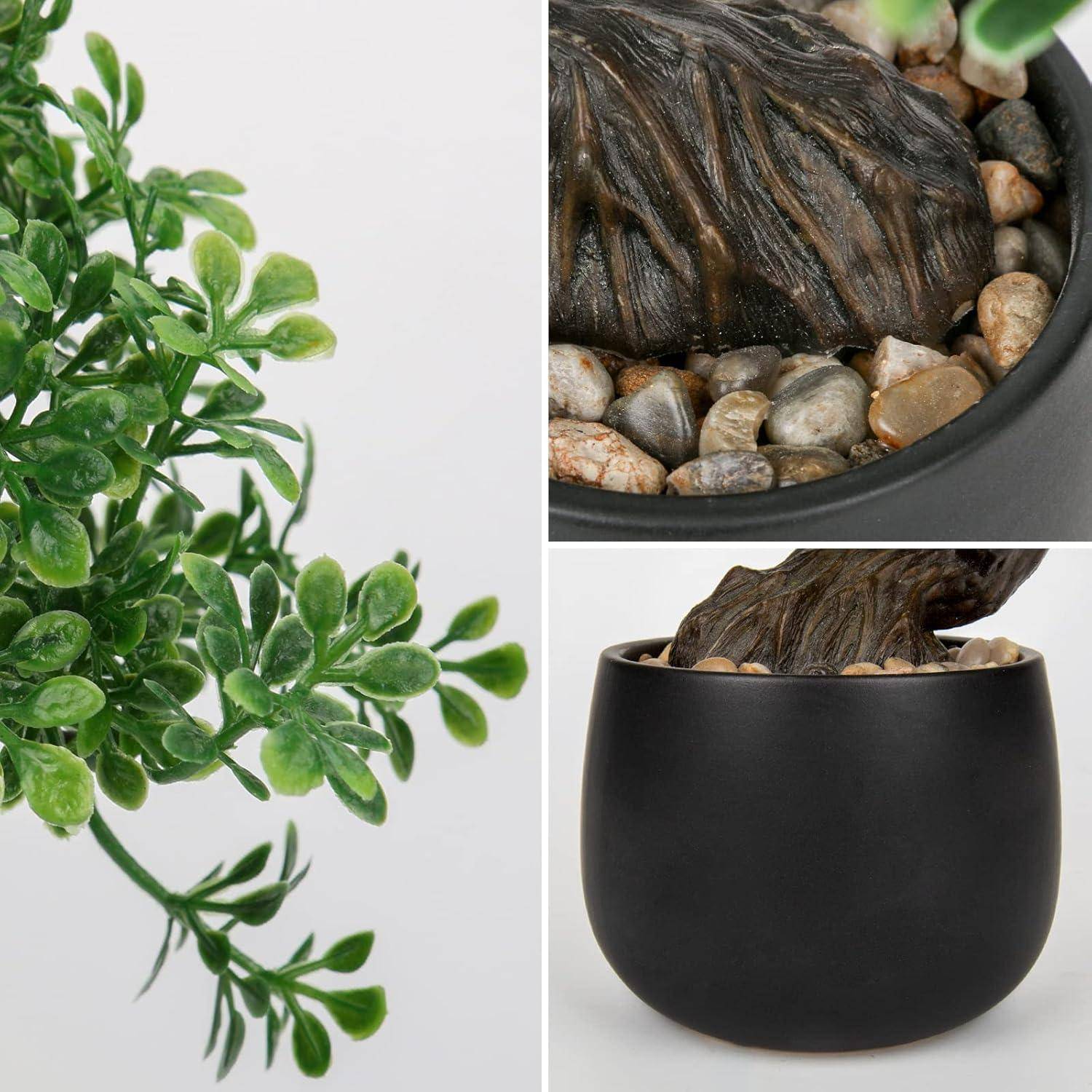 Nahaufnahme einer grünen Bonsai-Pflanze in einem schwarzen Topf mit Steinen an der Basis, die die strukturierten Blätter und Einzelheiten des Stammes hervorhebt.