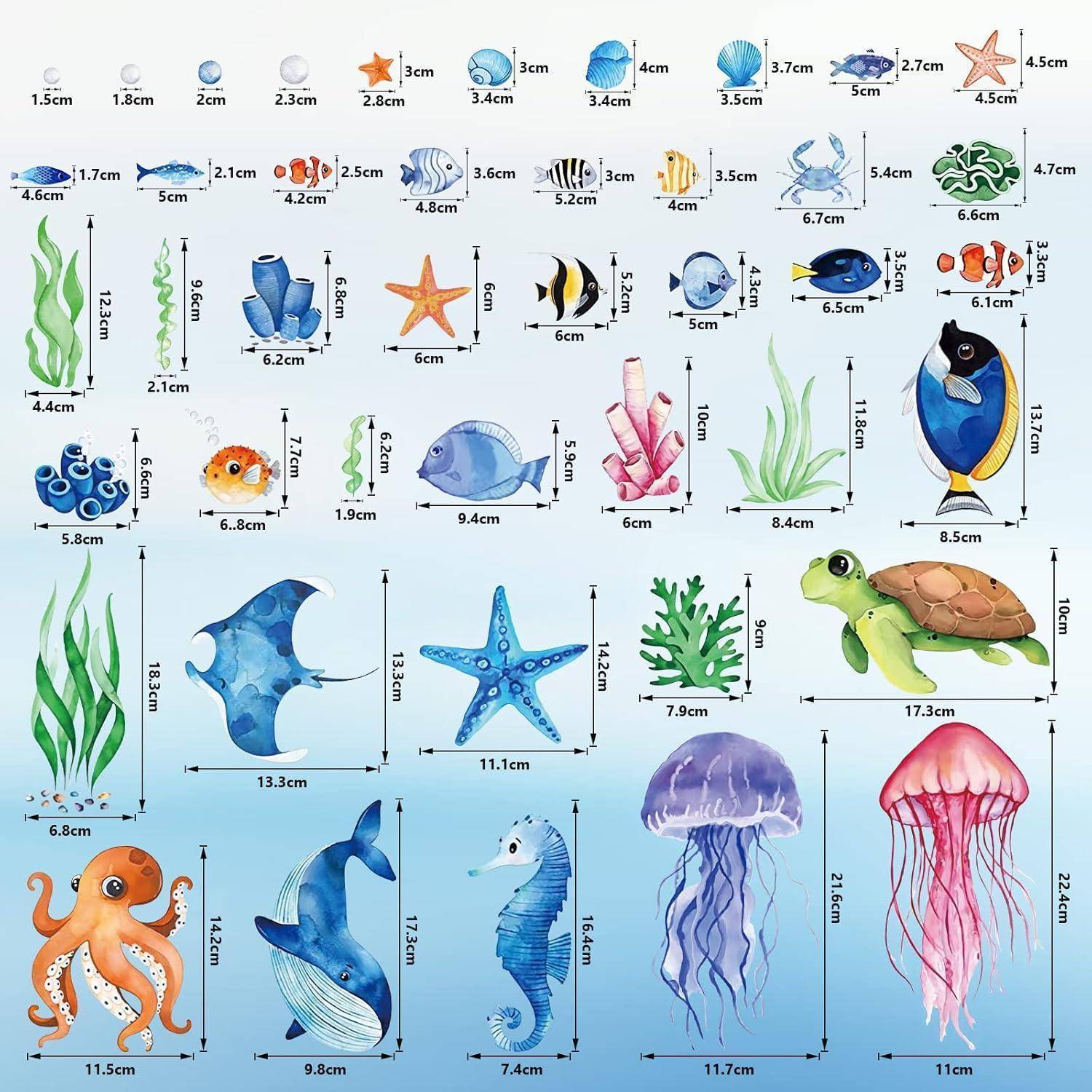 Schaubild mit illustrierten Meeresbewohnern und Größenangaben. Umfasst Fische, Muscheln, Korallen, Seetang, Seesterne, Schildkröten, Oktopusse, Delfine, Seepferdchen und Quallen.