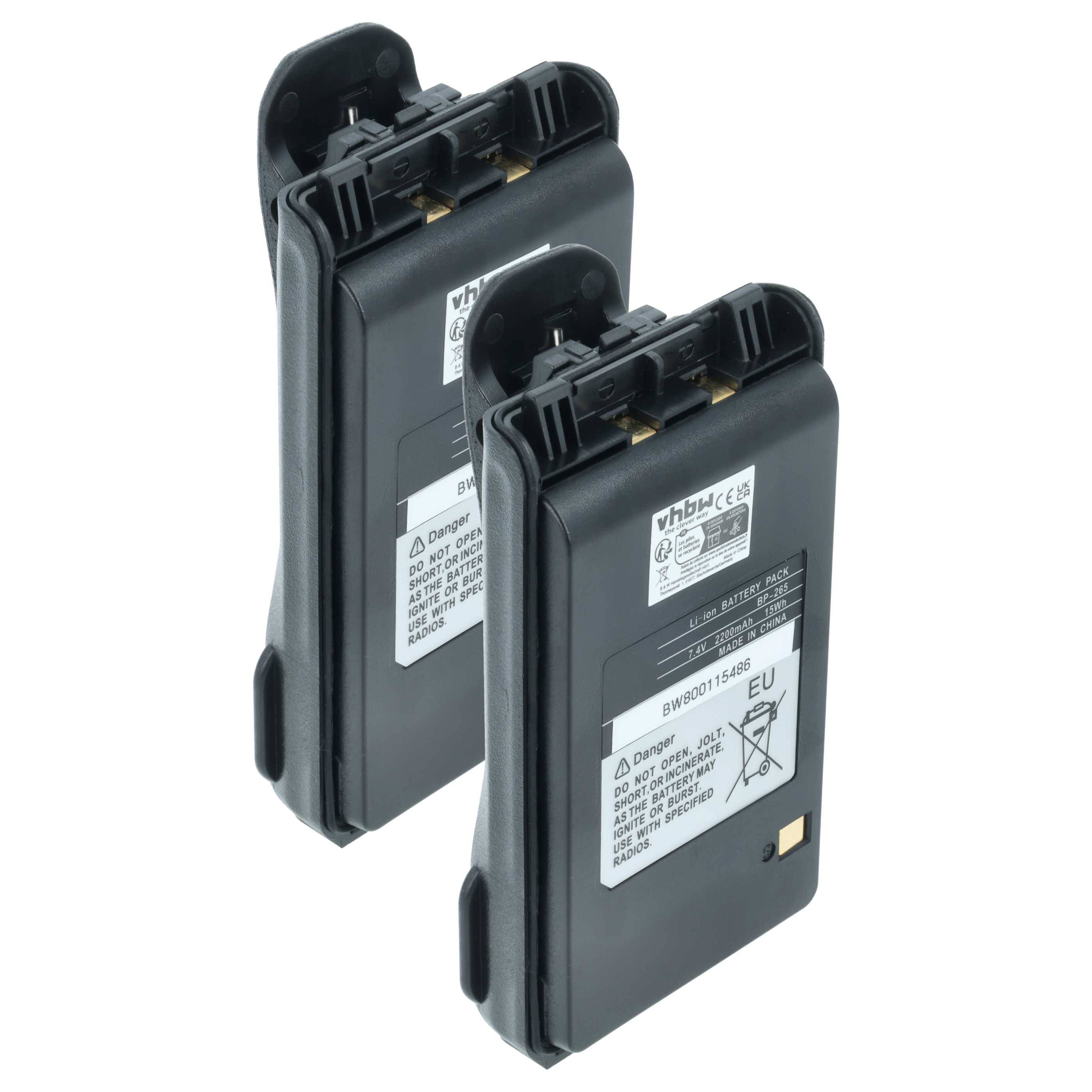 Zwei schwarze Batteriepackungen stehen aufrecht, jede mit Warnhinweisen und goldenen Anschlusspunkten oben. Sie erscheinen identisch und sind nebeneinander positioniert.