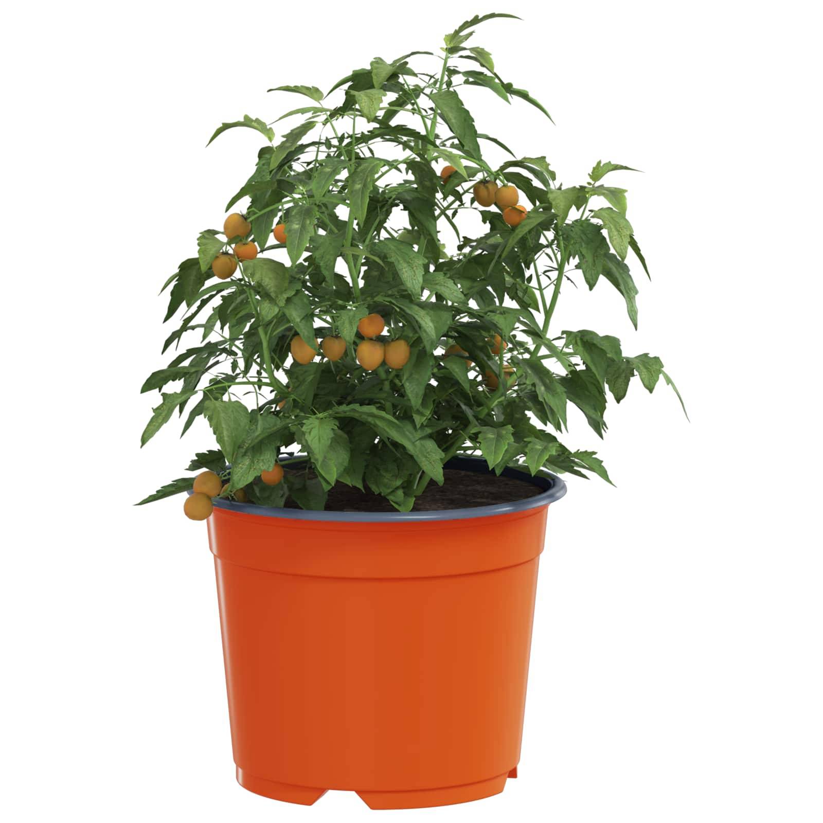 vidaXL Runder Blumentopf 200 pcs Terrakotta Ø 15 x 12,5 cm Kunststoff