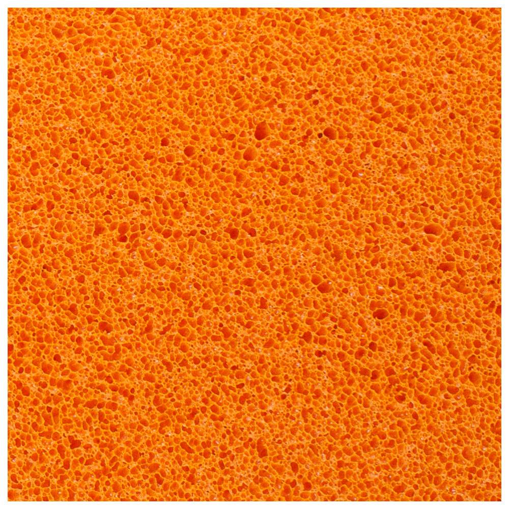 Nahaufnahme einer orangefarbenen Schwammstruktur, die deren poröse Oberfläche zeigt.