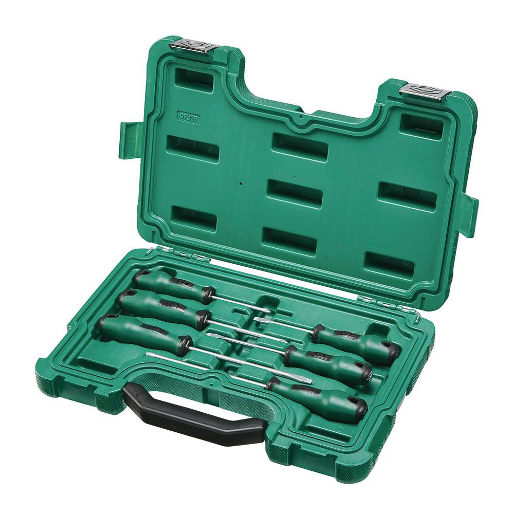 Eine grüne Plastikbox öffnete sich und offenbarte einen Satz von sechs Schraubenziehern mit schwarzen und grünen Griffen, die ordentlich in vorgesehenen Fächern angeordnet waren.