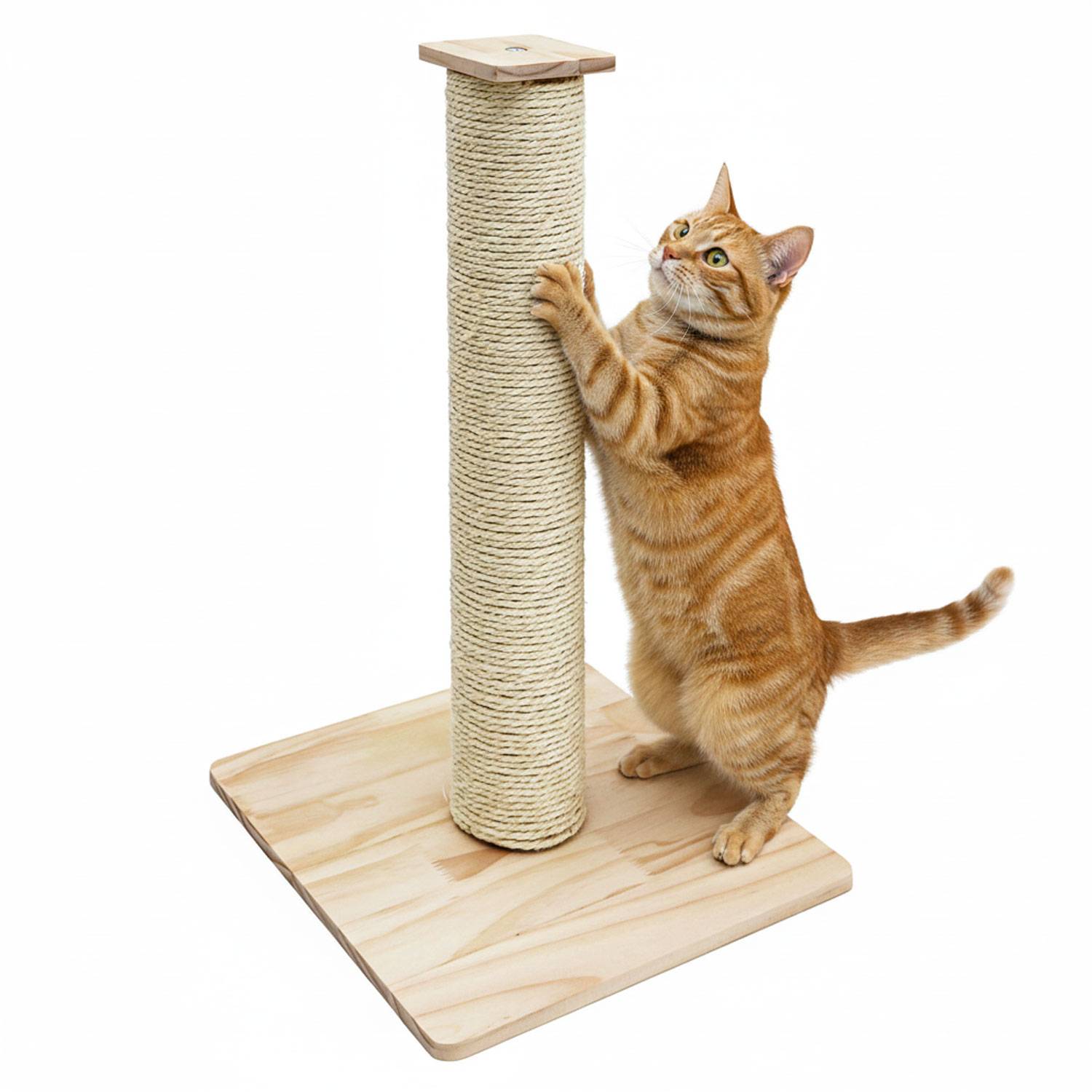 62cm Sisal Kratzsäule für Katzen mit Bambus Bodenplatte - Kratzbaum Klein Stabil