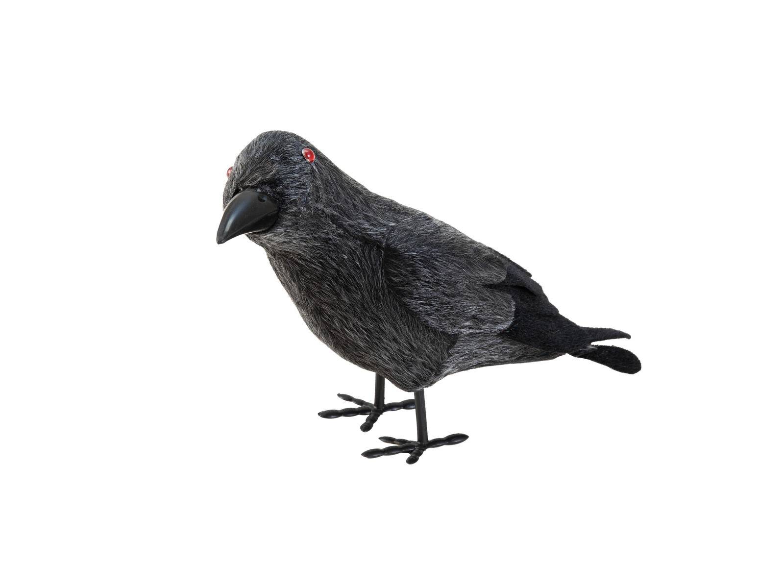 EUROPALMS Halloween Rabe, 18cm