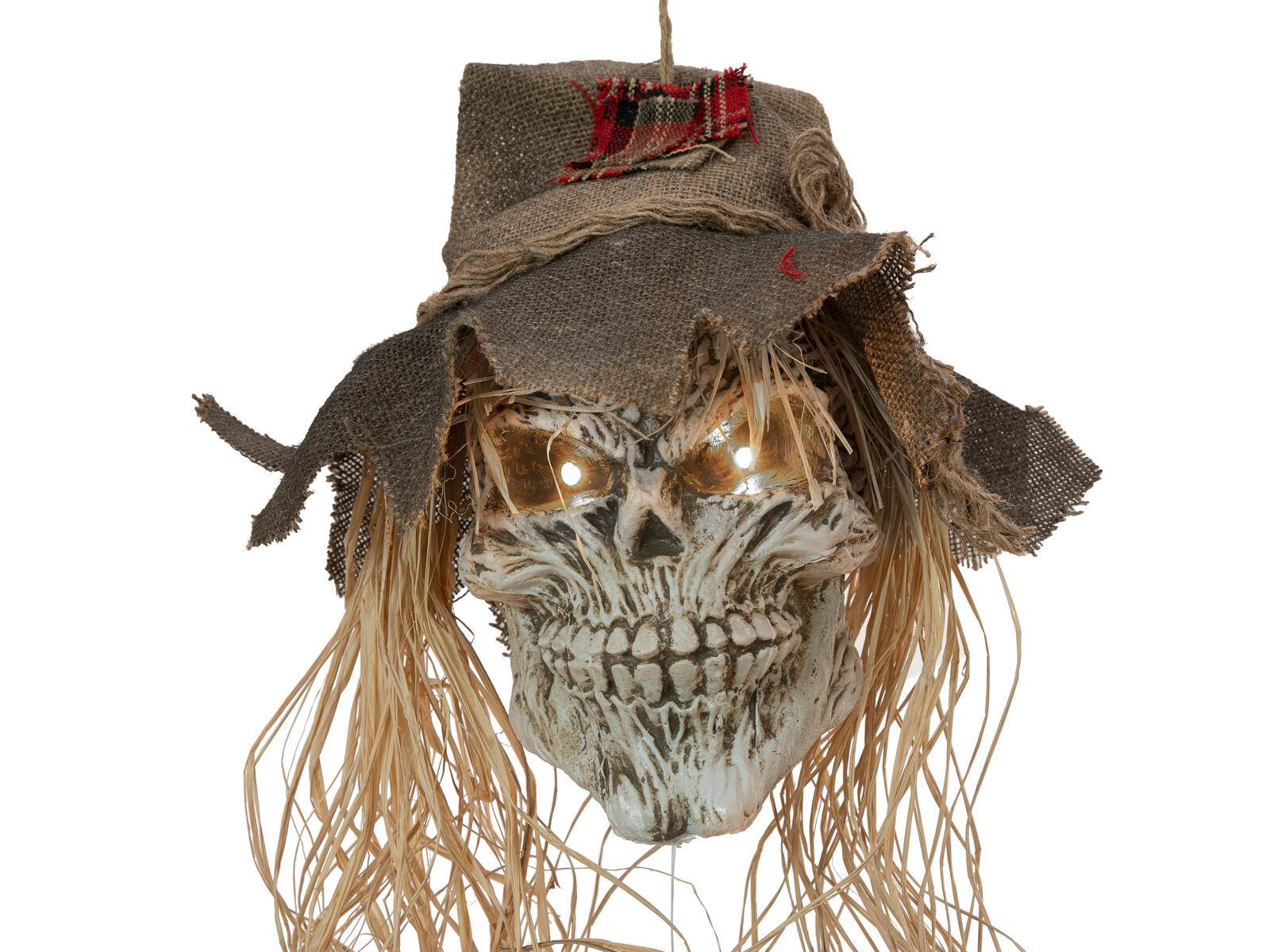 EUROPALMS Halloween Vogelscheuchen-Schädel, 70cm