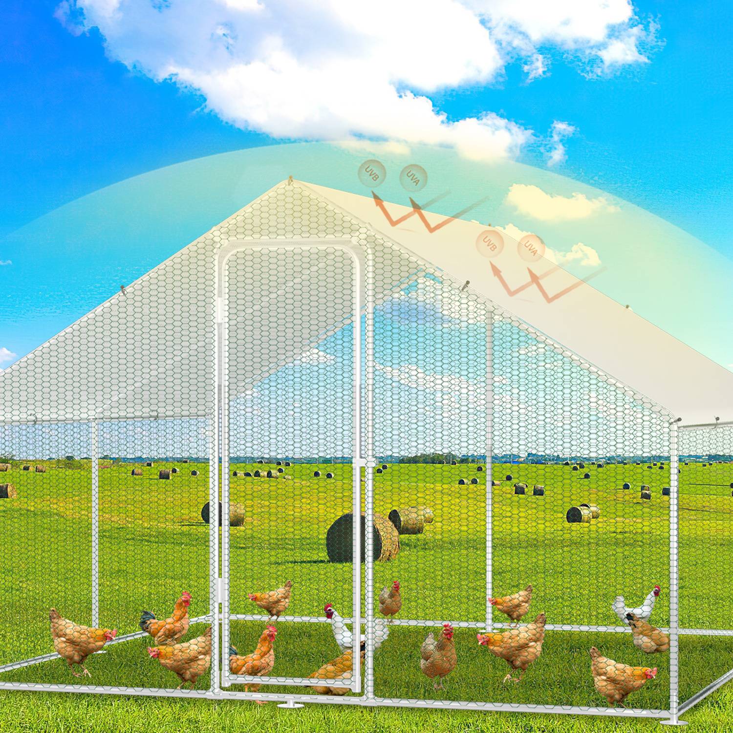 Hühner in einem grasigen Feld innerhalb eines dreieckigen Maschendrahtzauns, mit Heuballen und blauem Himmel im Hintergrund.