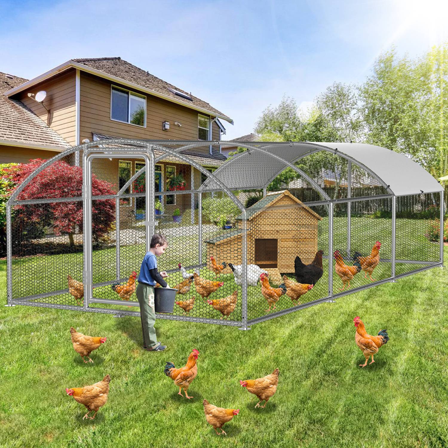 Ein Kind füttert Hühner in einem großen Drahtgehege auf einem Hinterhof. Ein Holzhaus befindet sich innerhalb des Geheges. Im Hintergrund ist ein modernes Haus zu sehen.