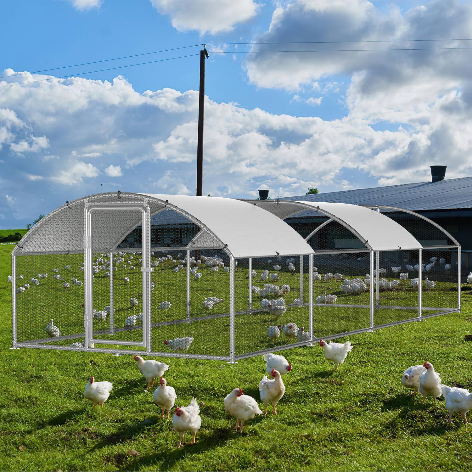 Hühner wandern frei umher, sowohl innerhalb als auch außerhalb eines großen, eingezäunten Freigeheges auf einem grasigen Feld unter einem teilweise bewölkten Himmel.