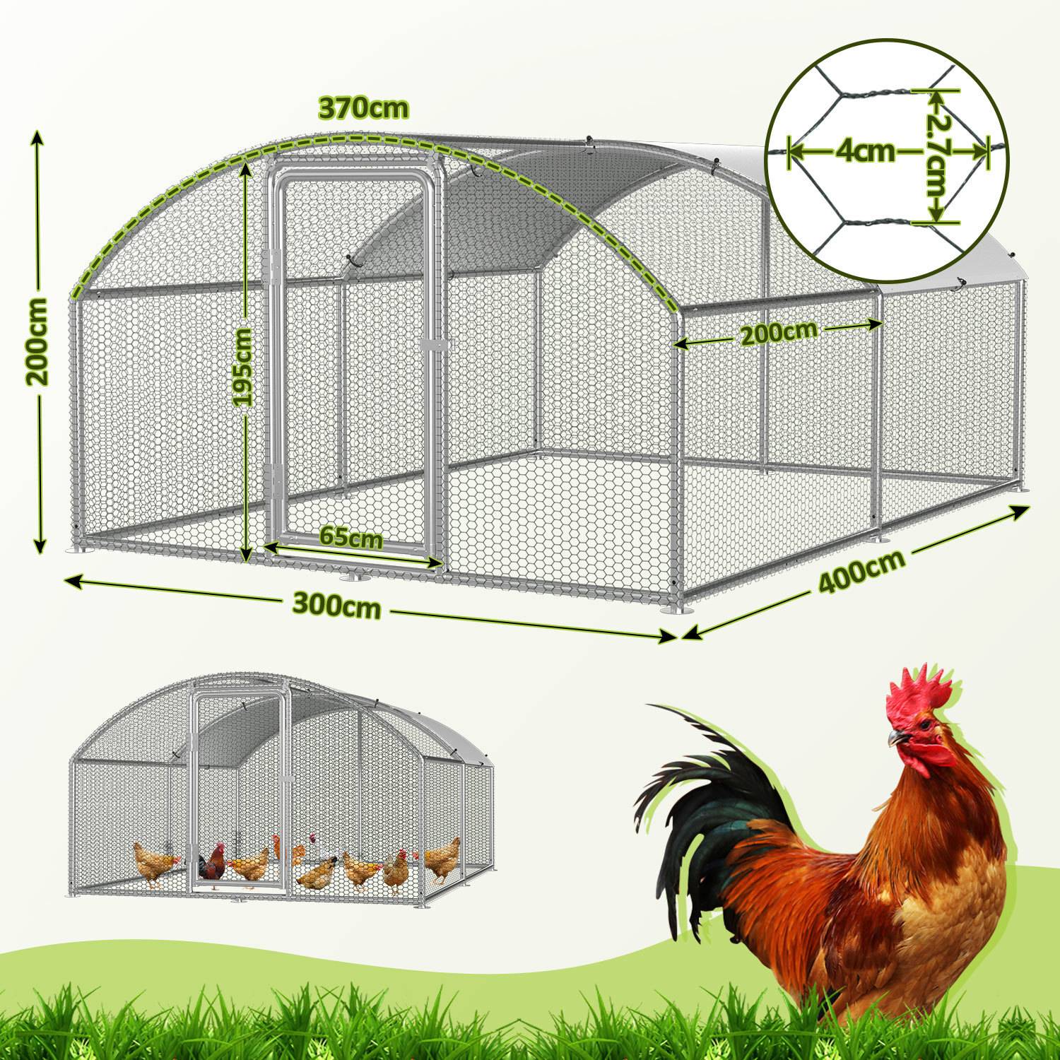 Ein Hühnerstall mit Maschendrahtdesign, Abmessungen: 200x400x195 cm, beherbergt mehrere Hennen. Ein Hahn steht auf dem Gras daneben.