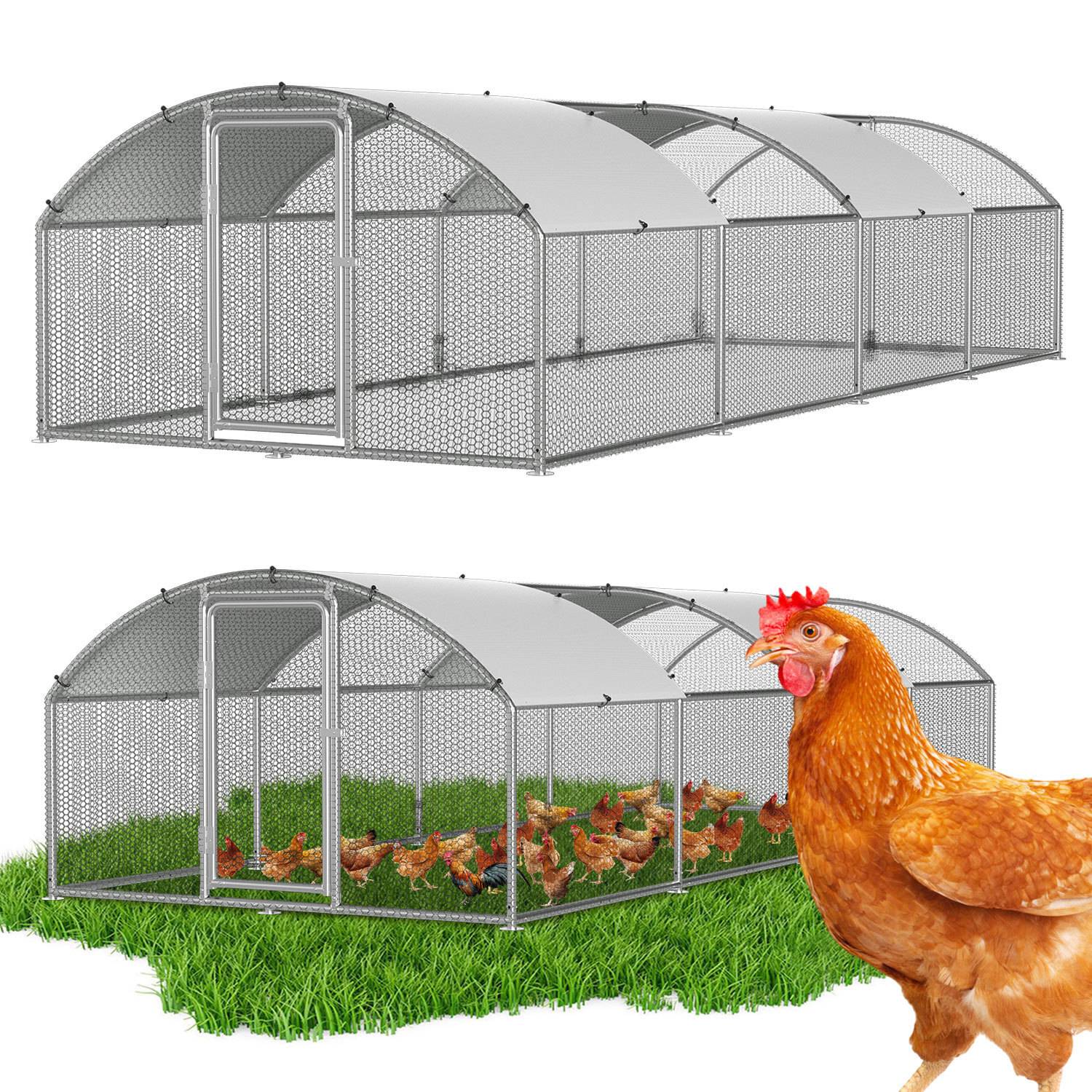 Das Bild zeigt zwei große Metallhühnerkäfige und ein Huhn, wobei Hühner im unteren Käfig, umgeben von Gras, zu sehen sind.